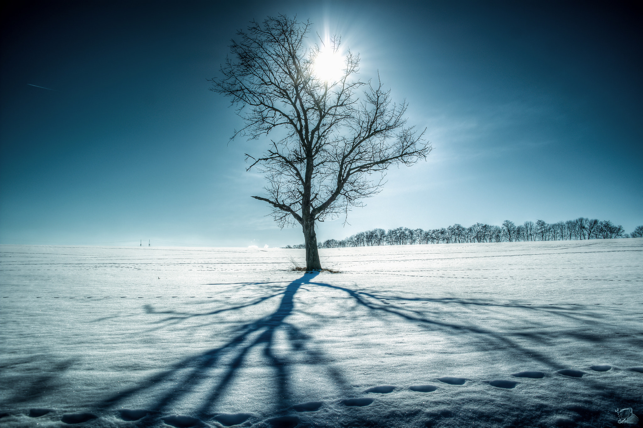 Samsung NX300M sample photo. Winterlandschaften photography