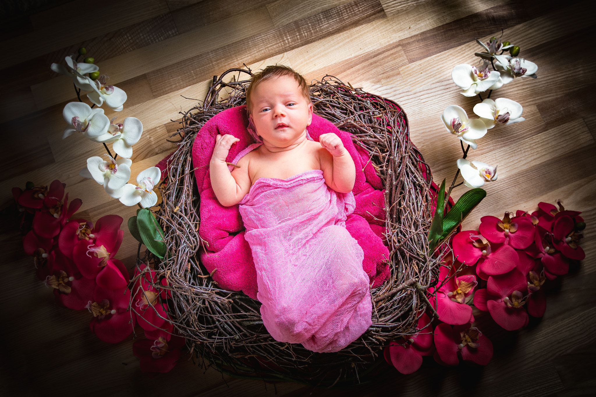 Sigma 18-50mm f/2.8 Macro sample photo. Audiline quattrolino photography