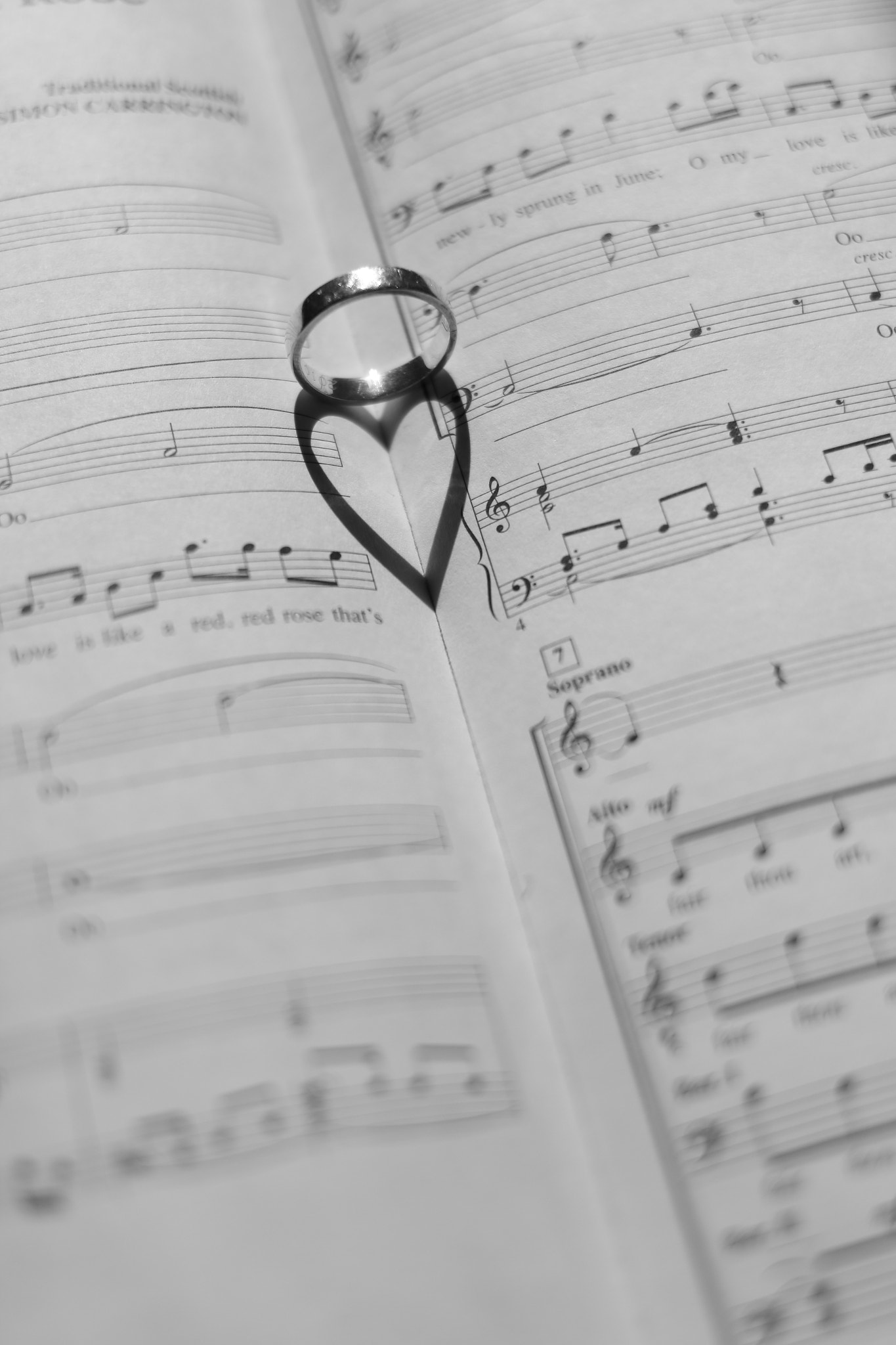 Canon EF 35mm F2 IS USM sample photo. Shape of love photography