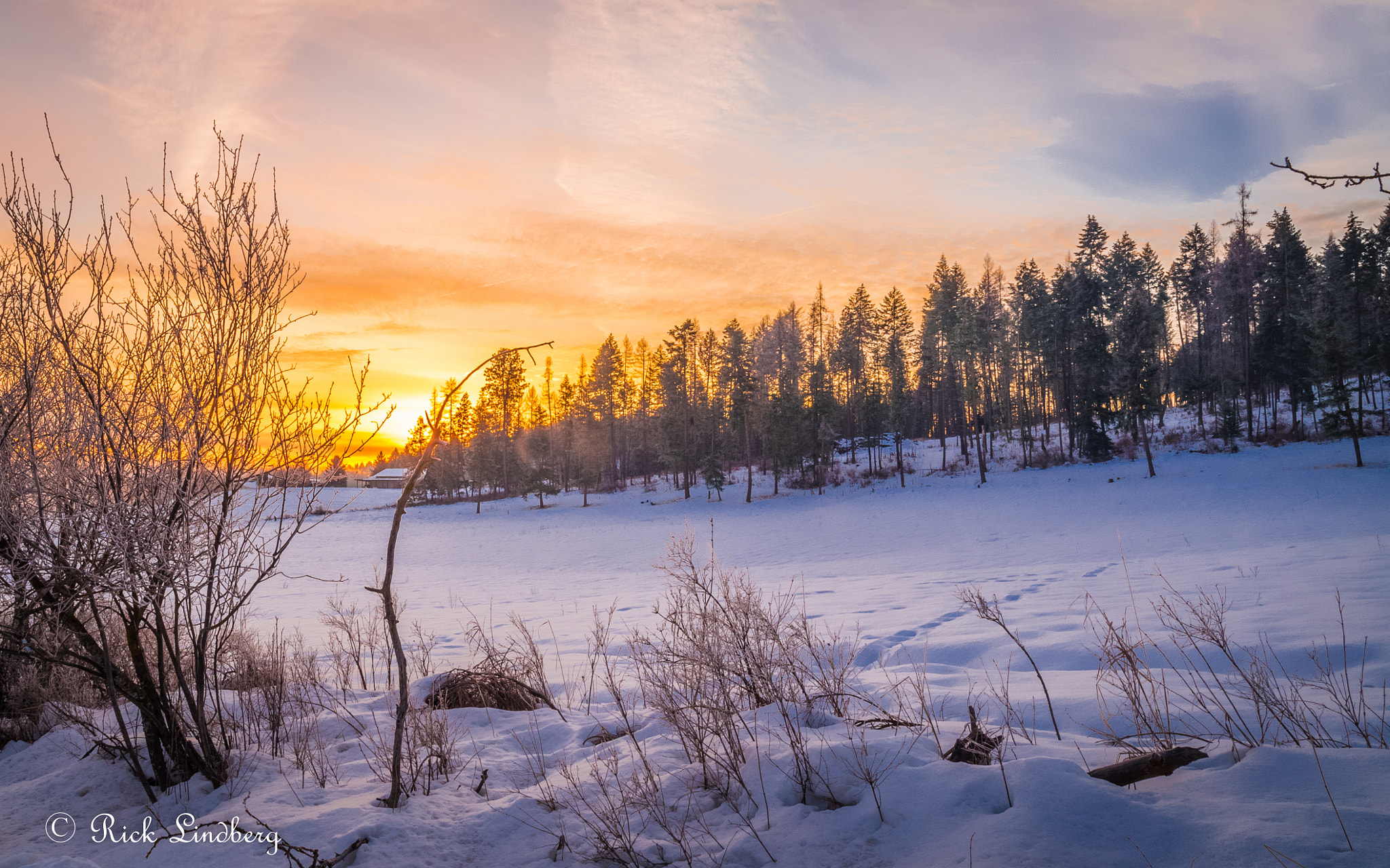 Pentax K-50 + A Series Lens sample photo. Winters splendor photography