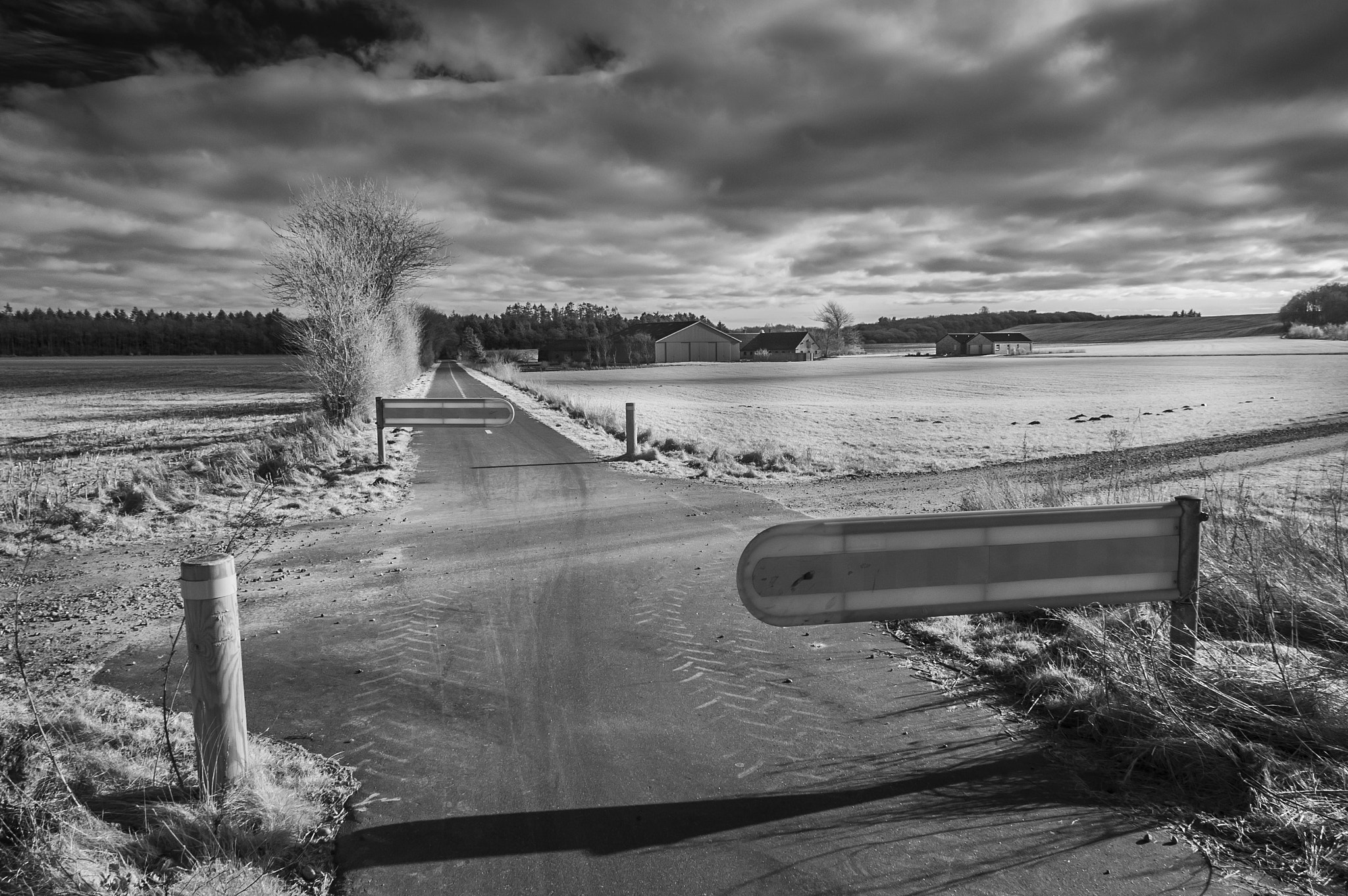 Nikon D70s sample photo. The storm is comming at arnbjerg photography