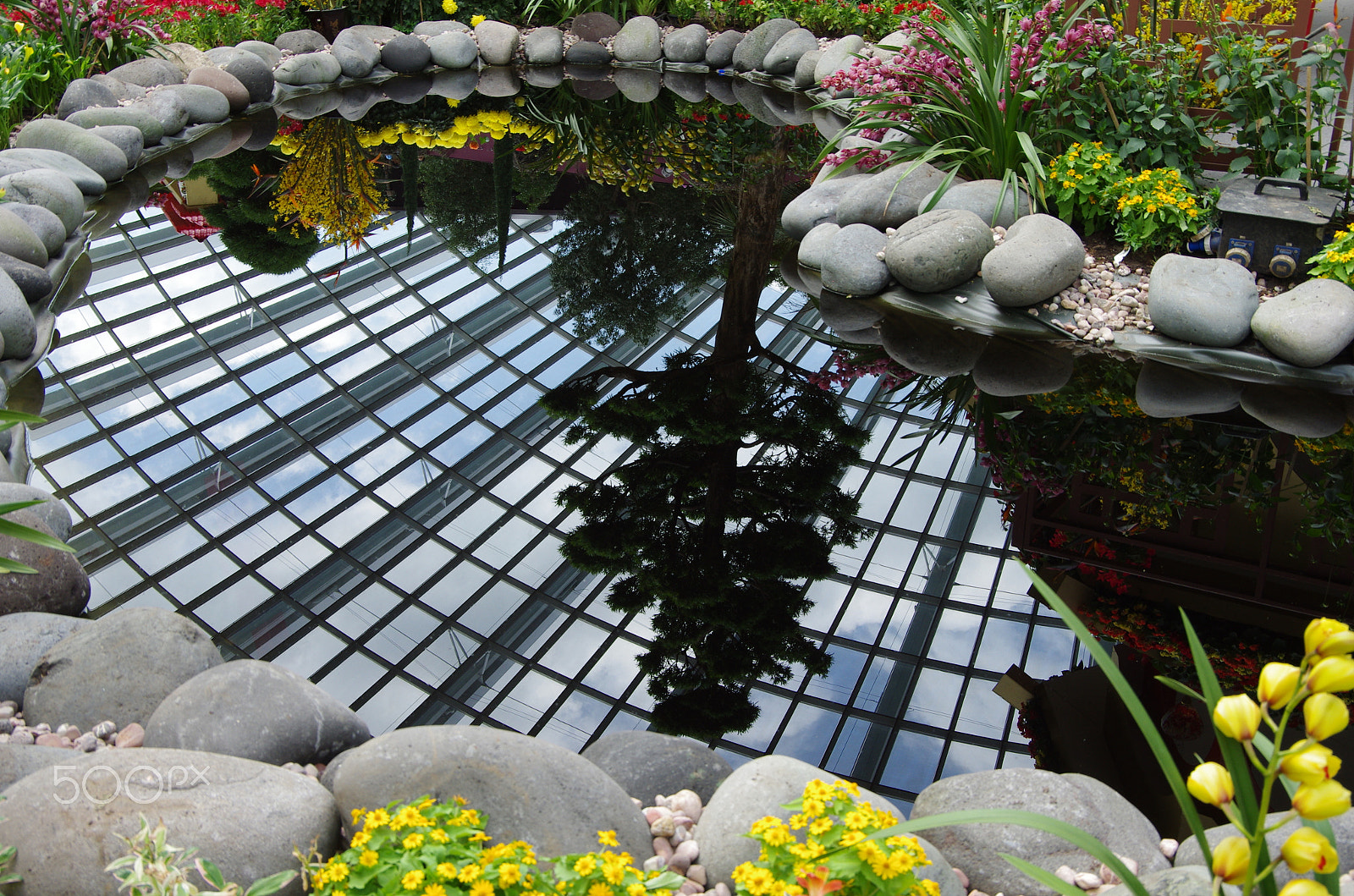 Pentax K-5 sample photo. Water mirror photography