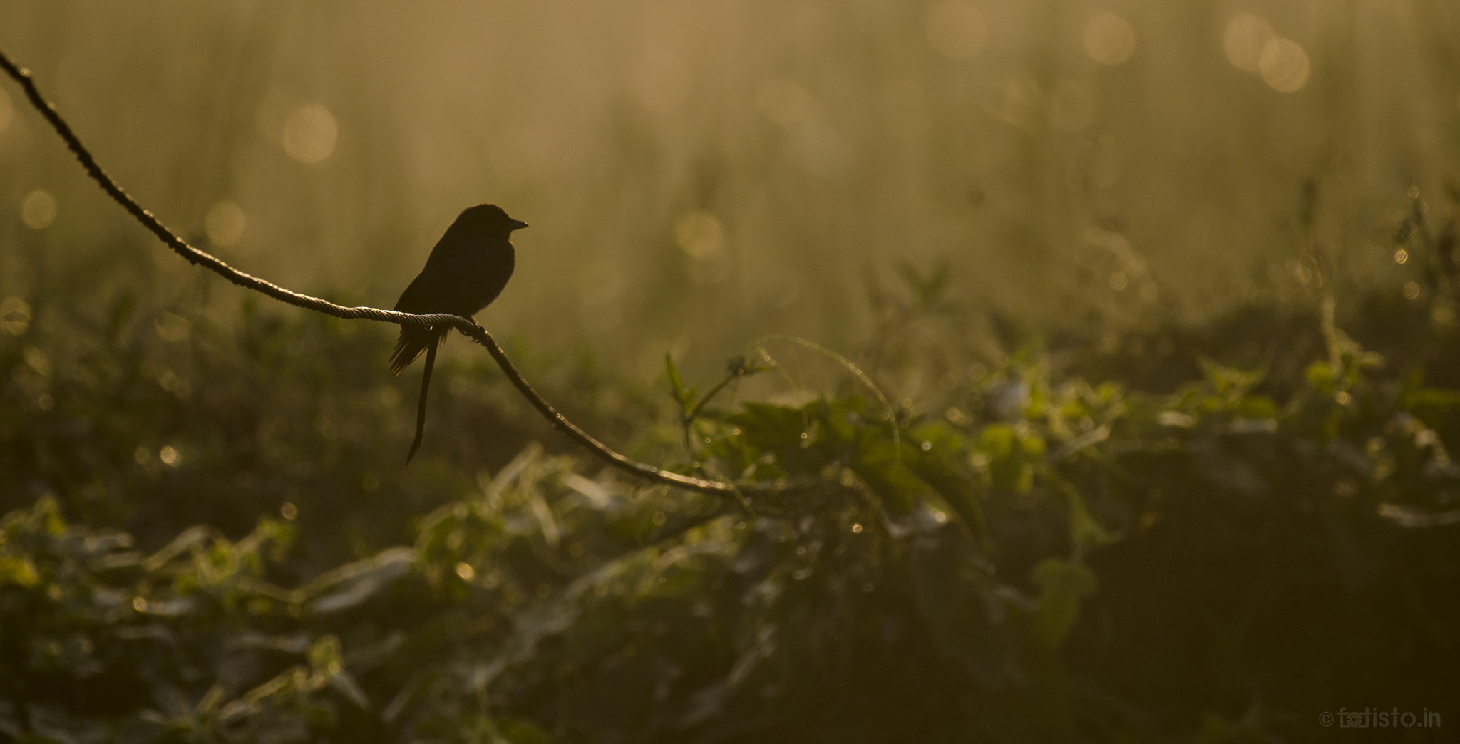 Nikon AF-S Nikkor 200-500mm F5.6E ED VR sample photo. Calm! photography