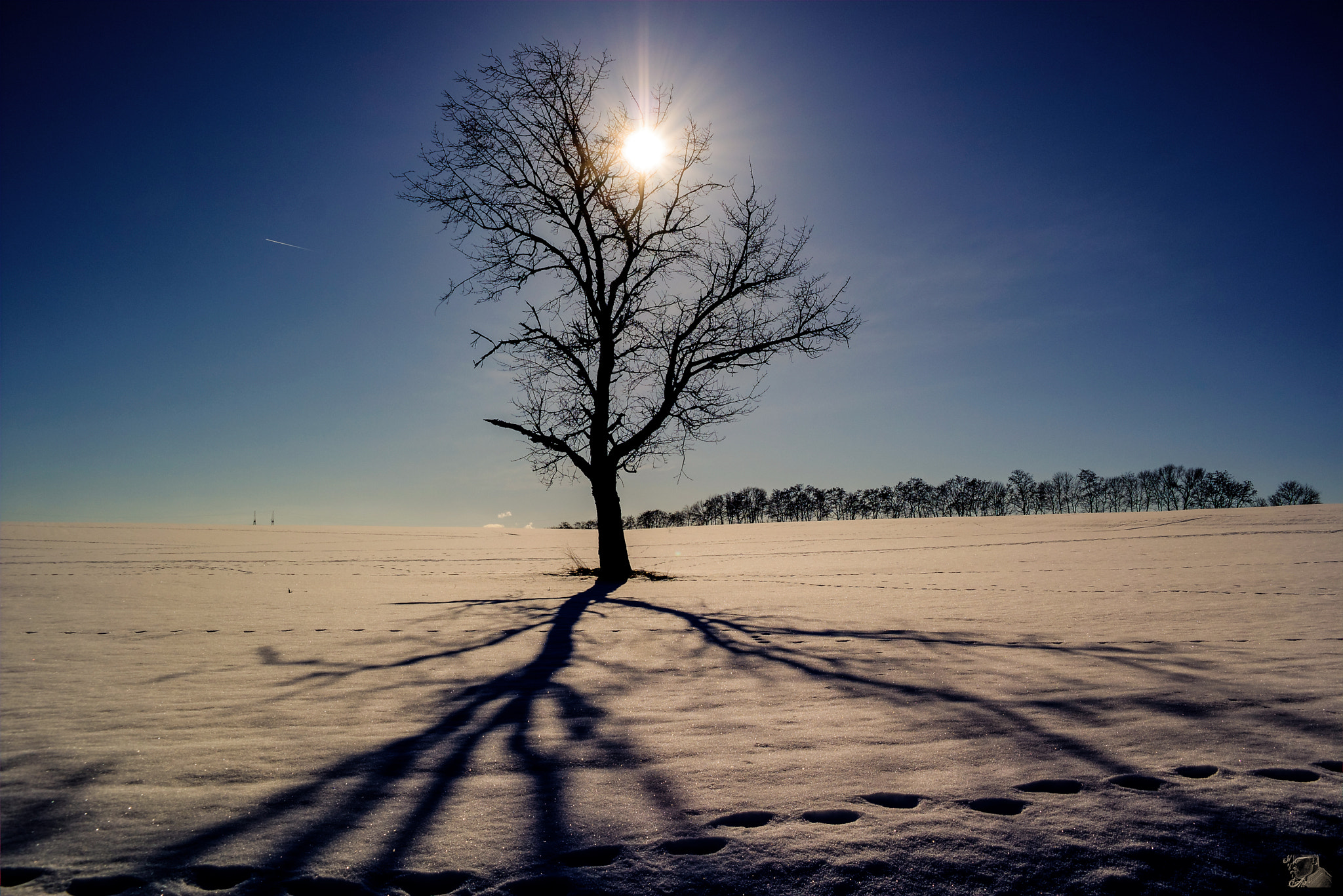 Samsung NX300M sample photo. Winterlandschaften photography