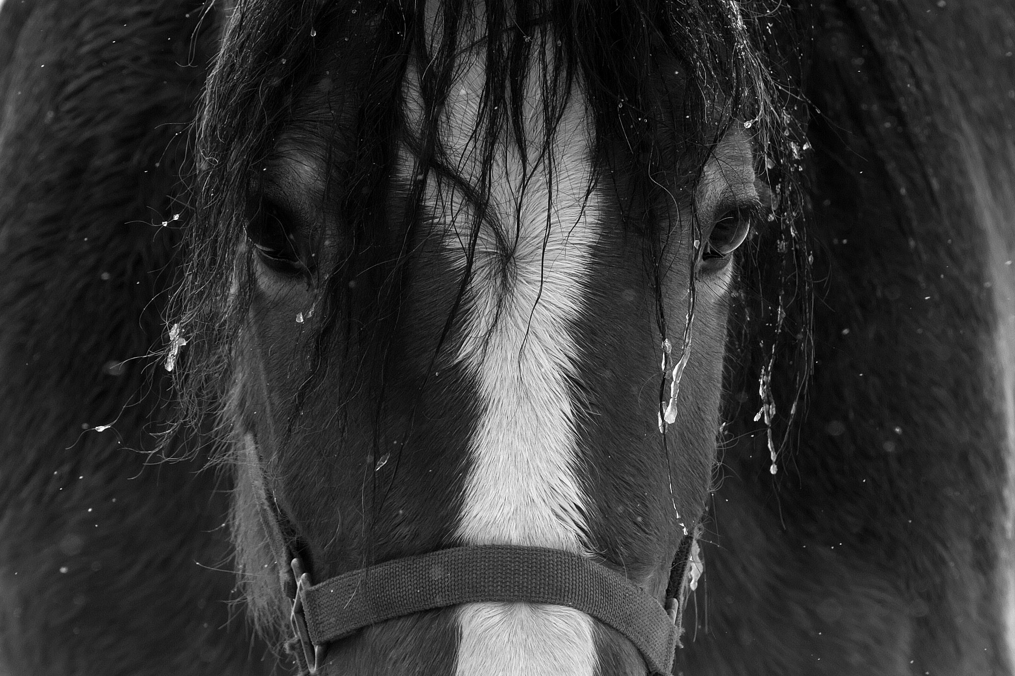 VR 70-200mm F/4.0 G sample photo. Frozen photography