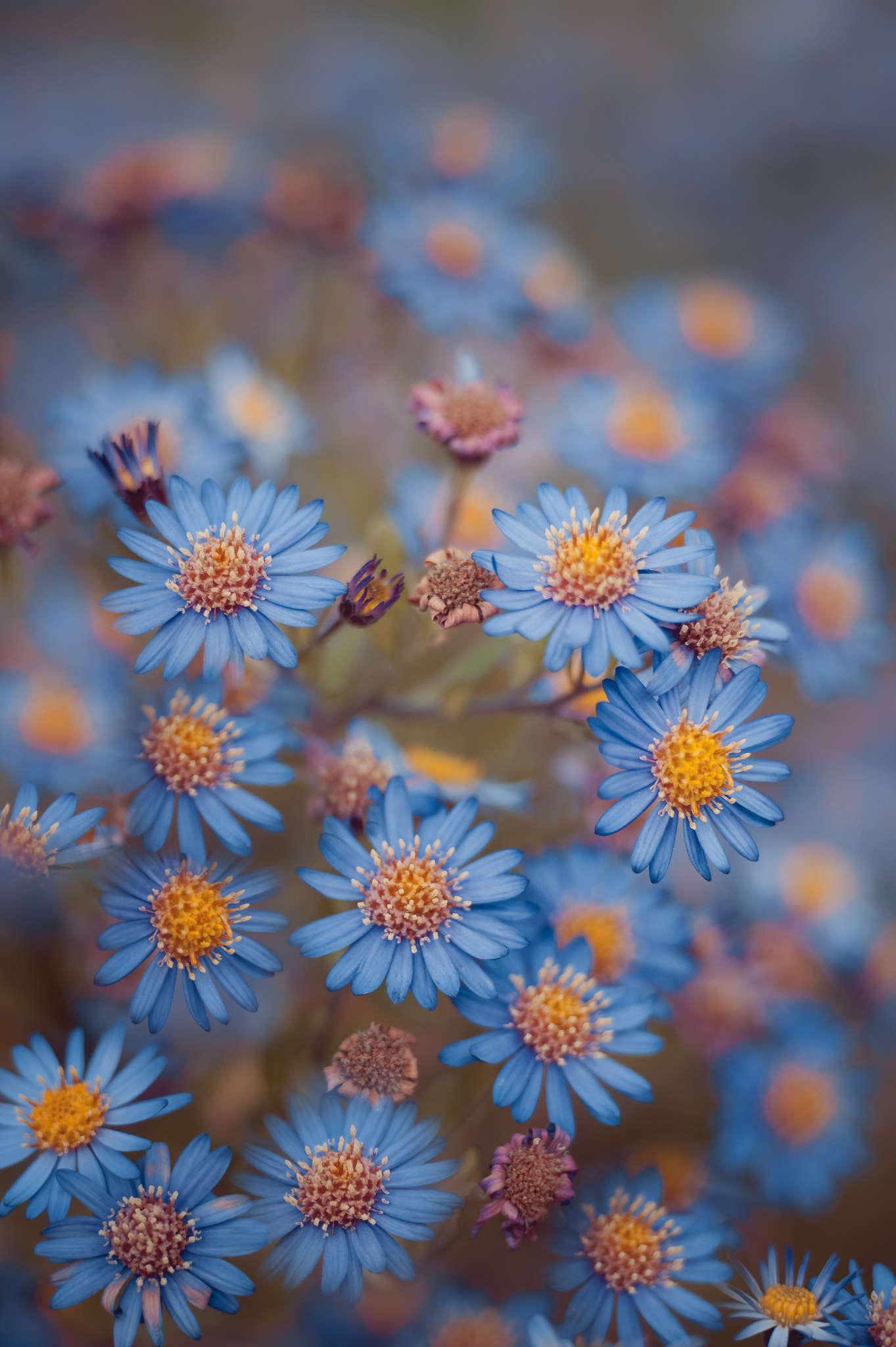 Nikon D700 sample photo. Vanished photography