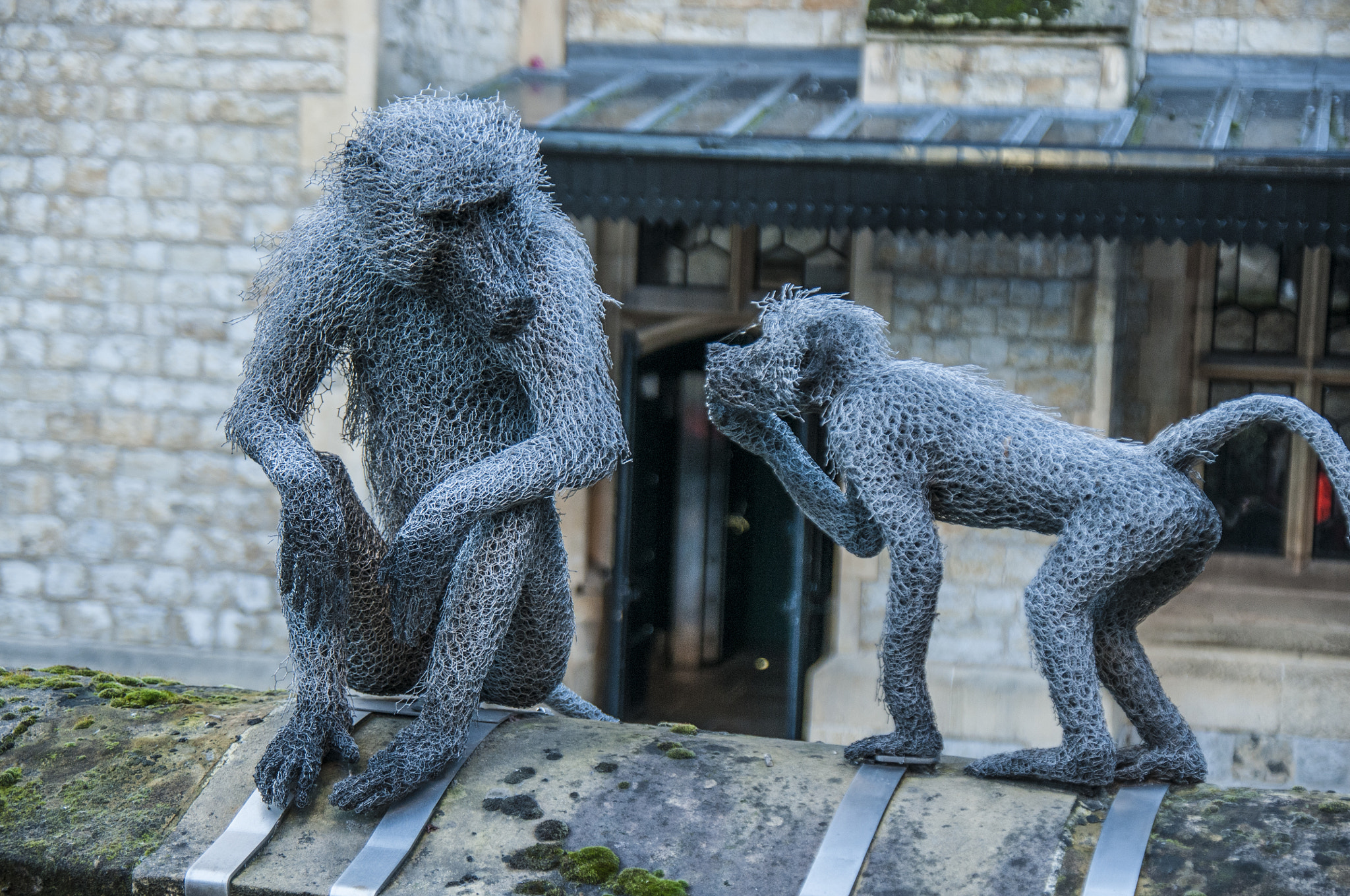Nikon D300S sample photo. Tower monkeys photography