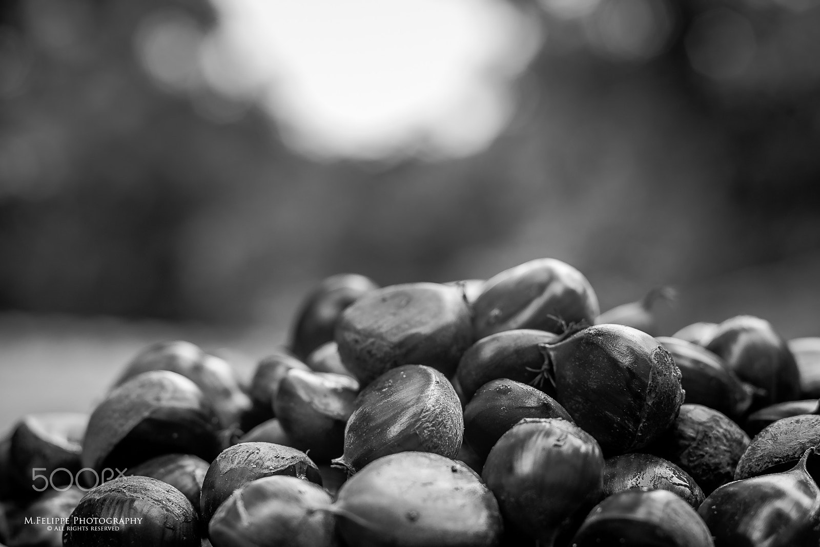 Sony a7S II sample photo. Some portuguese chestnuts photography