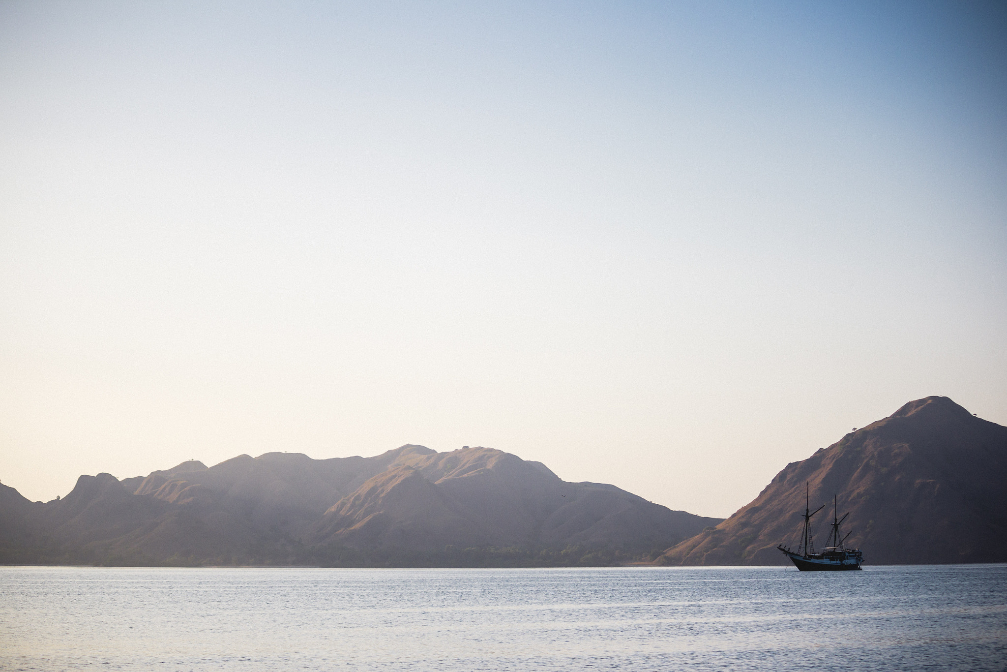 Canon EF-S 55-250mm F4-5.6 IS sample photo. Peace photography