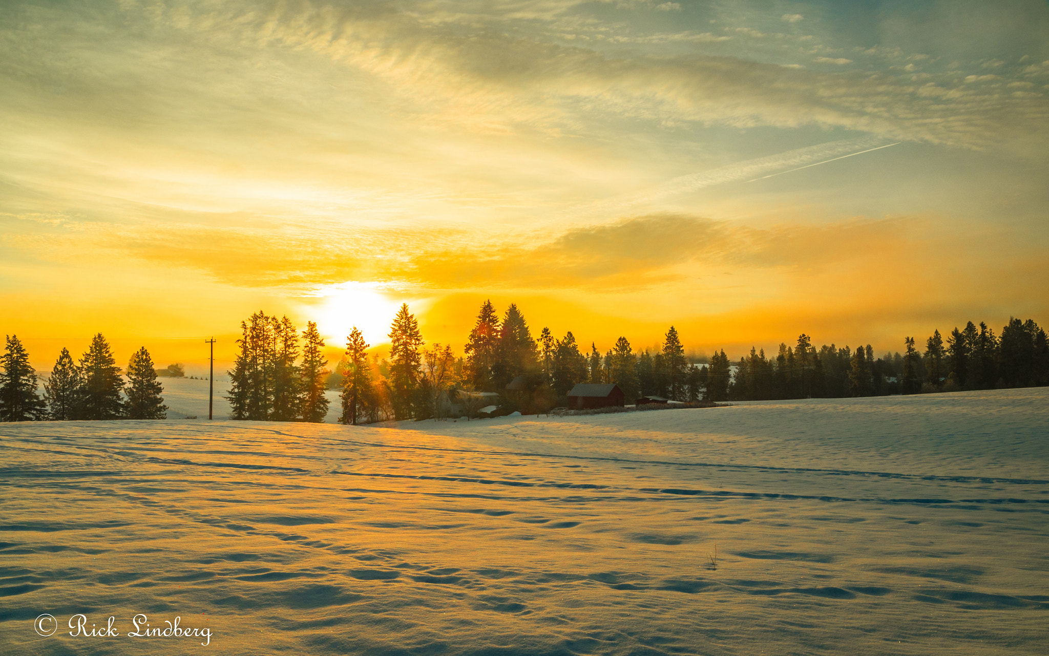 Pentax K-50 + A Series Lens sample photo. Yellow glow photography