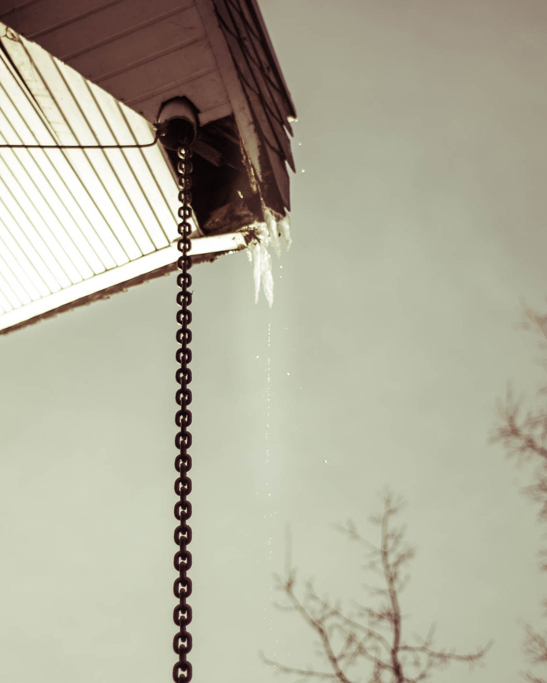 Nikon D5300 + Nikon AF Nikkor 50mm F1.8D sample photo. Solitude photo is taken in sundern germany and a philter of lightroom photography