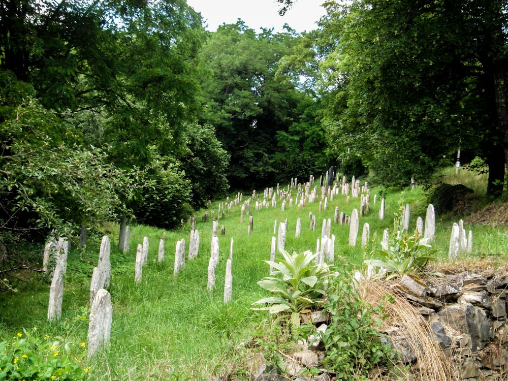 Fujifilm FinePix AX200 sample photo. Jewish cemetery photography