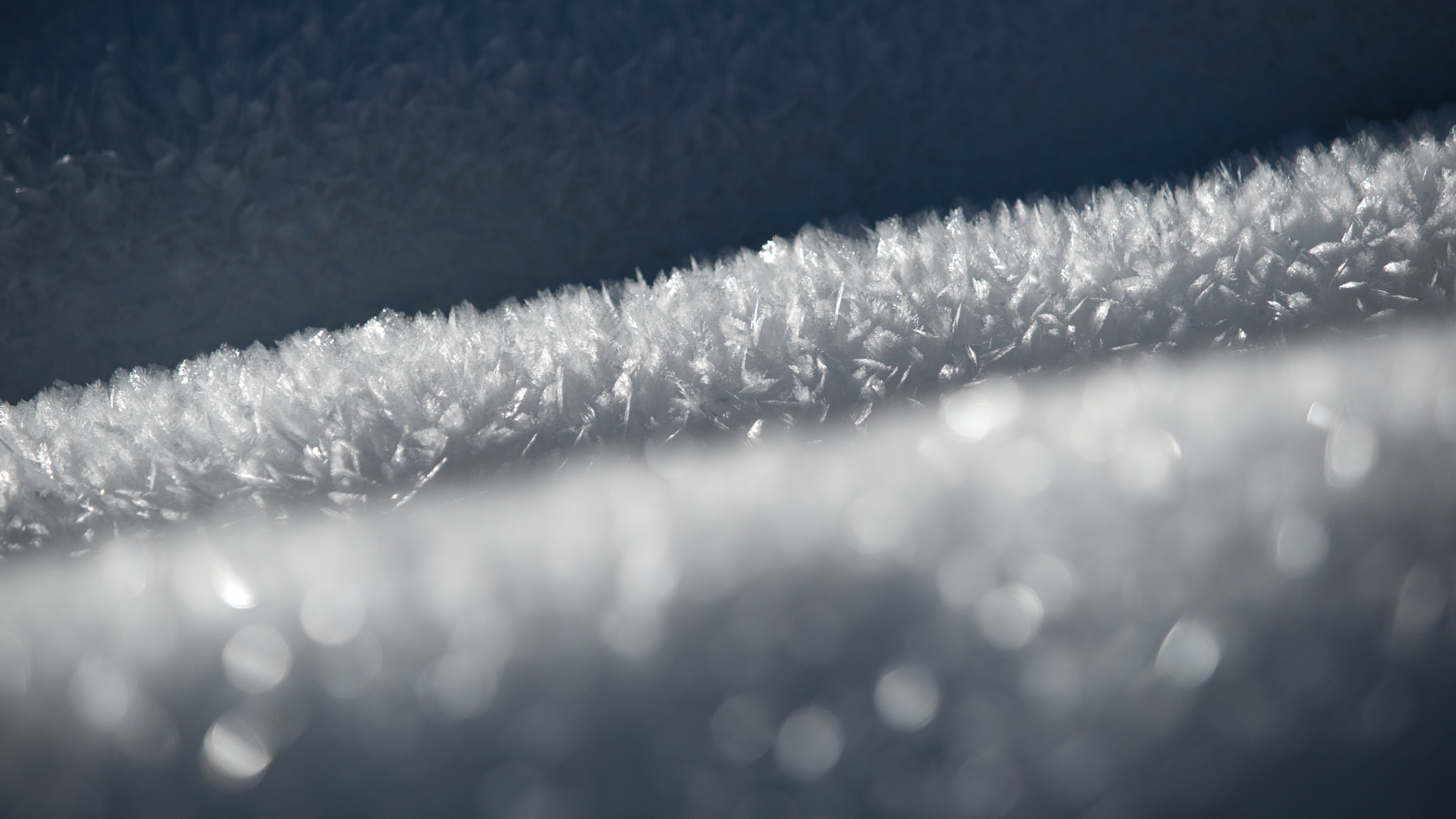 Minolta/Sony AF 70-200mm F2.8 G sample photo. White frost (6) photography