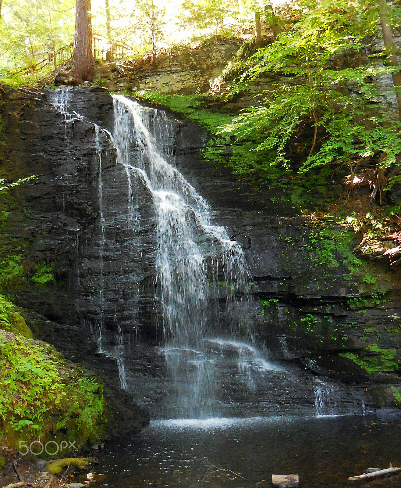 Nikon Coolpix S6800 sample photo. Poconocs pa waterfall  photography