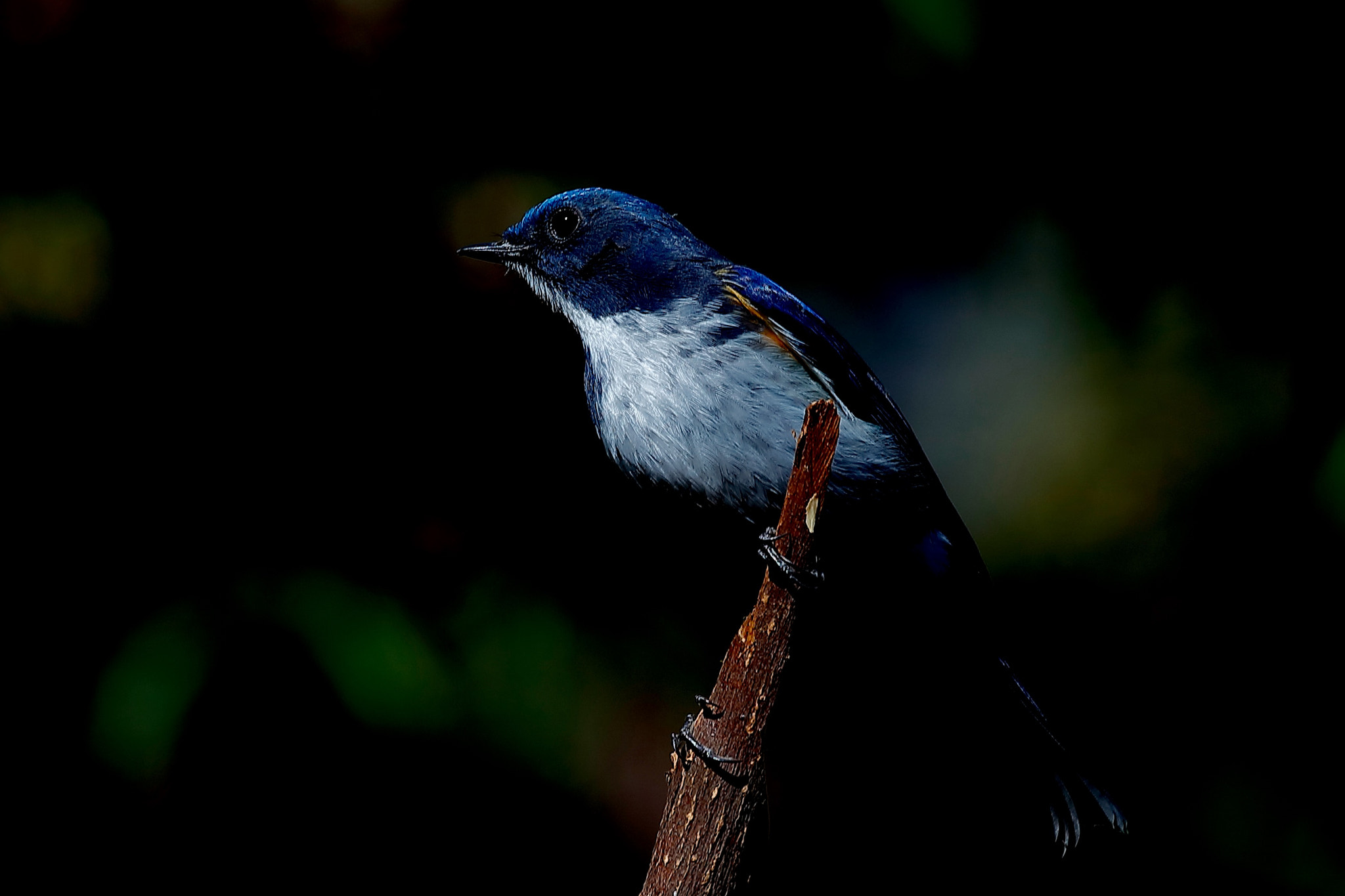 Canon EF 100-400mm F4.5-5.6L IS USM sample photo
