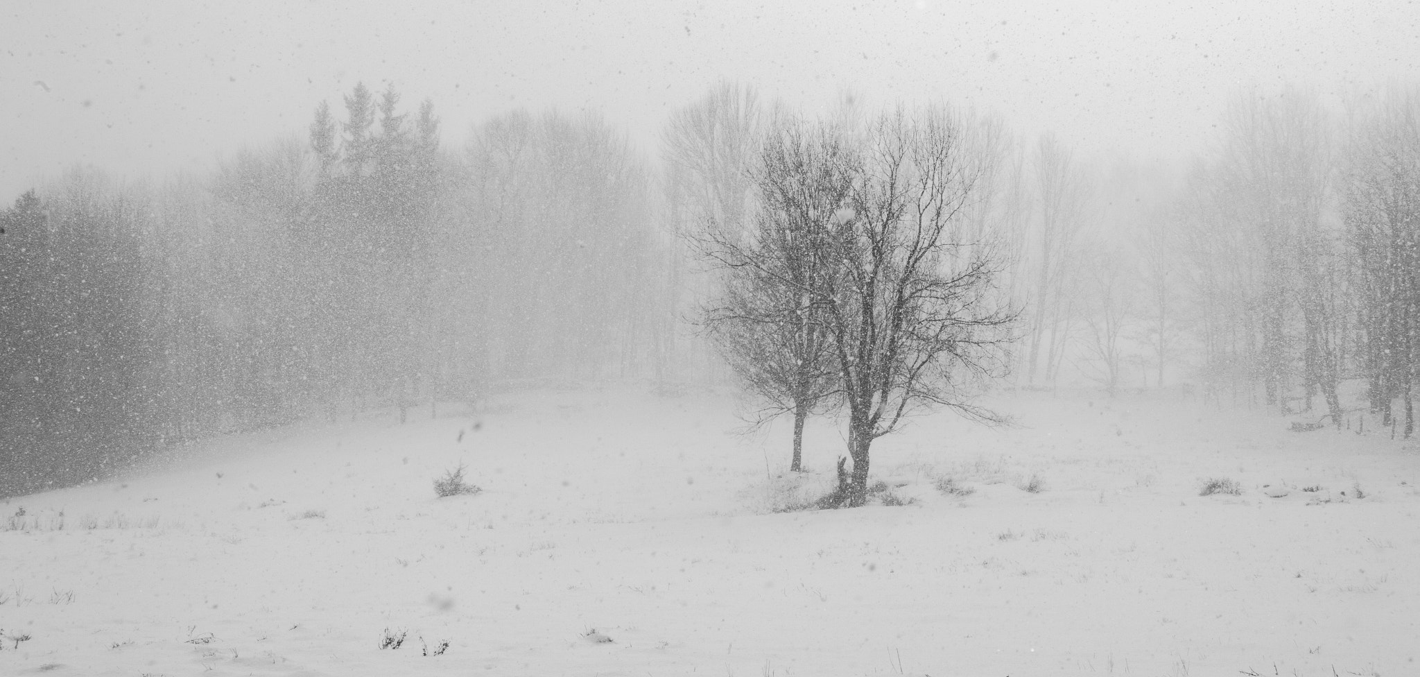 Canon EF 28-80mm f/3.5-5.6 USM sample photo. Trapped in a snow squall photography