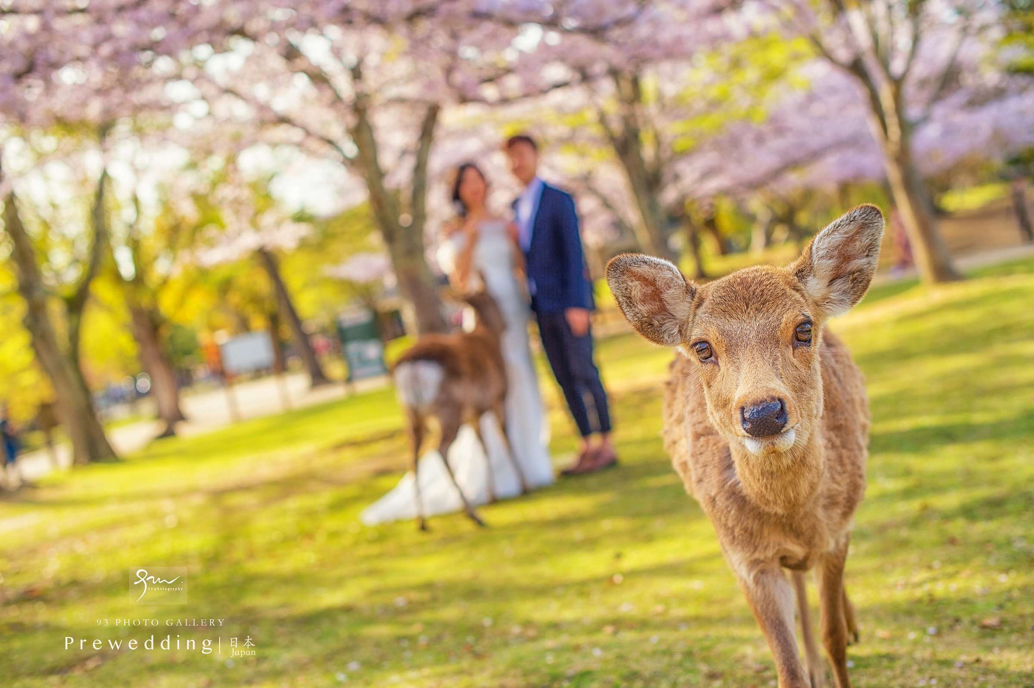 Nikon D4S + Nikon AF-S Nikkor 50mm F1.4G sample photo. 每天都是一次新的旅行， photography