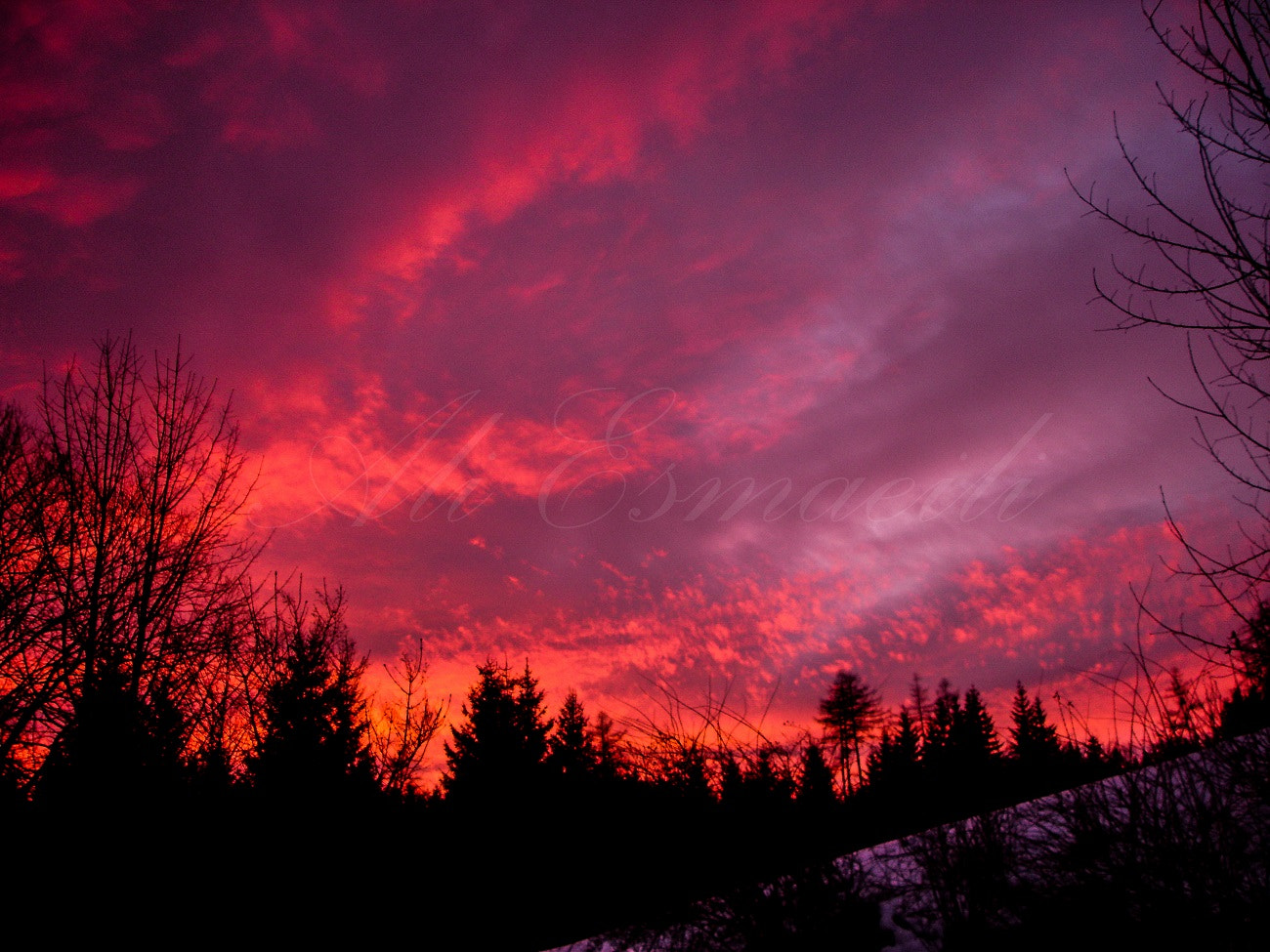 Sony DSC-P200 sample photo. Red sky photography