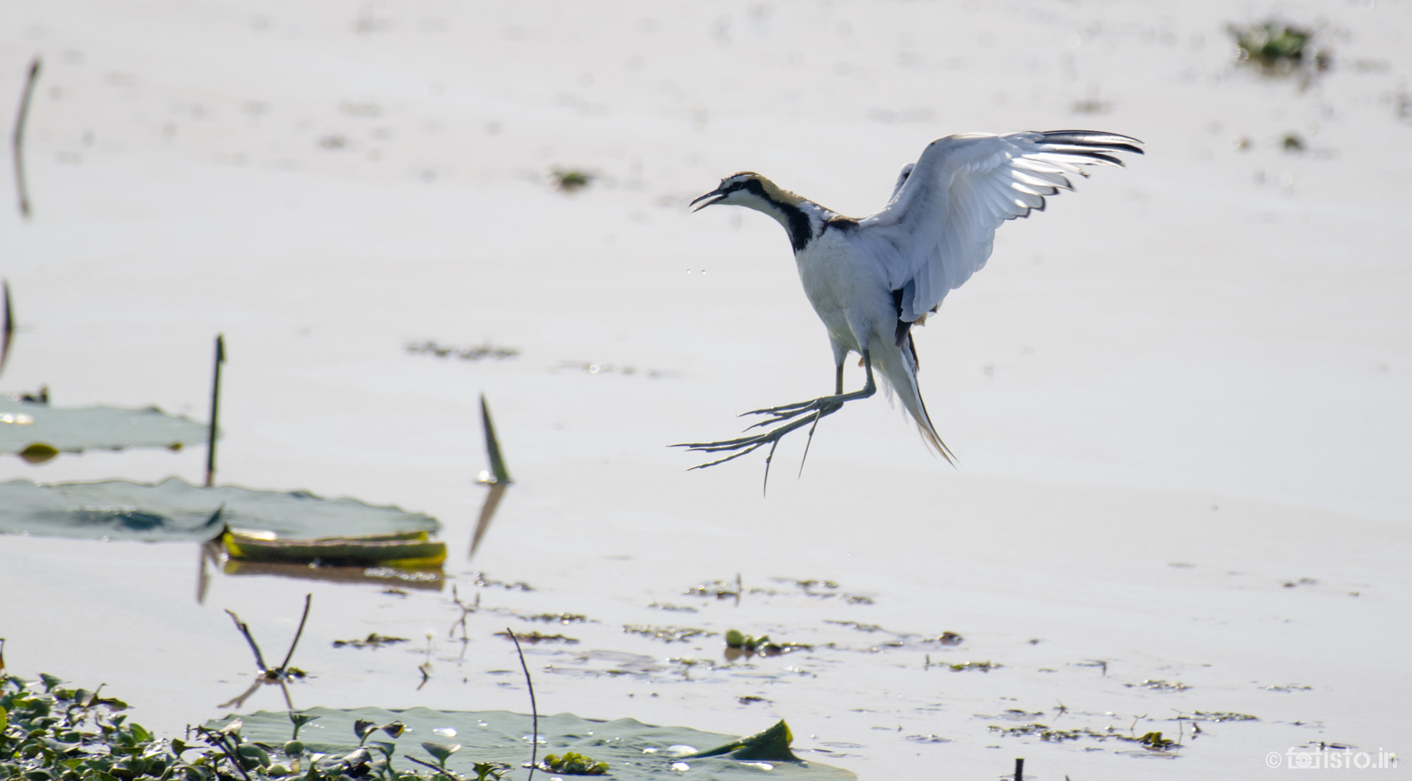 Nikon AF-S Nikkor 200-500mm F5.6E ED VR sample photo. Ditch! photography