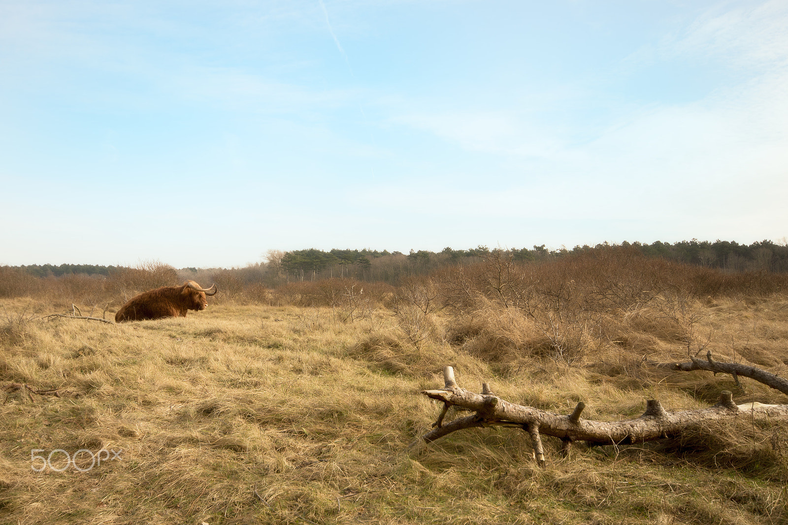 Sigma AF 10-20mm F4-5.6 EX DC sample photo. Carefree photography