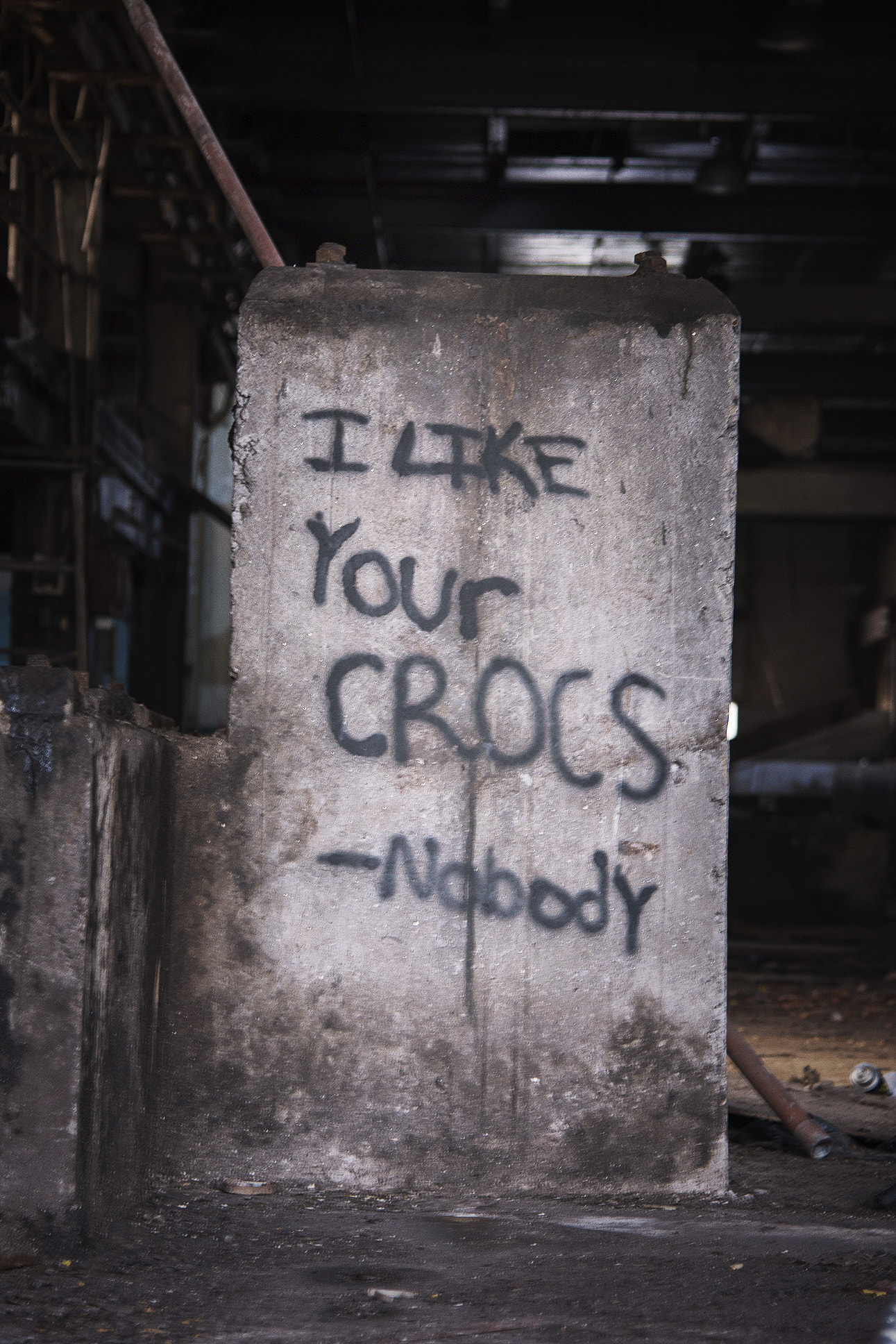 Nikon AF-S Nikkor 24-120mm F4G ED VR sample photo. Crocs photography