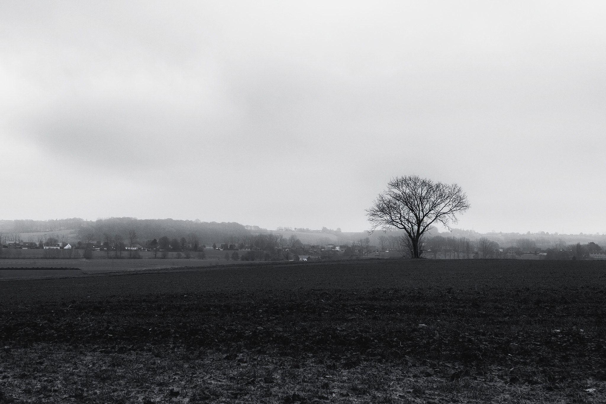 Canon EOS M3 sample photo. Lonely tree photography