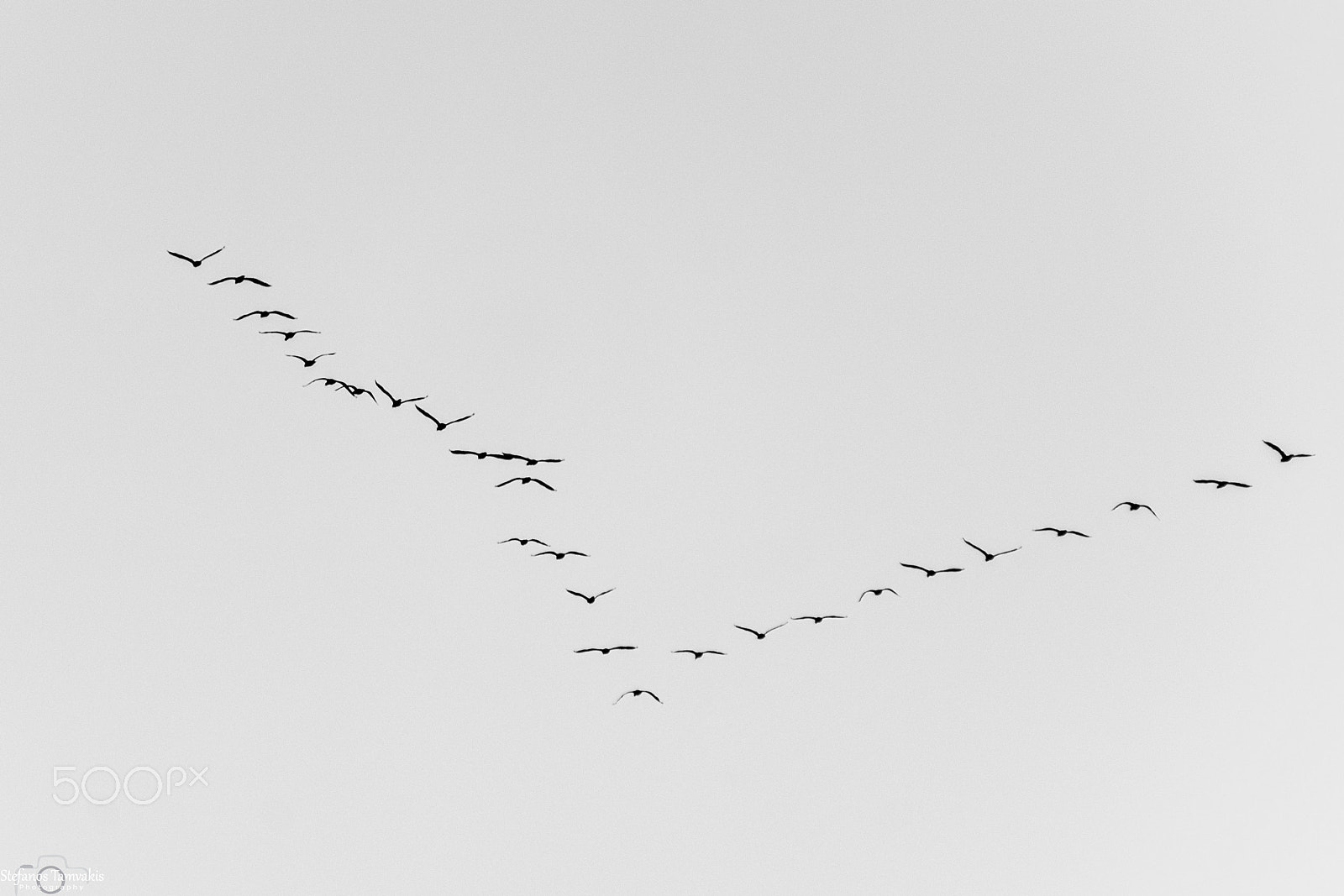 Sony a7R + Sony E 55-210mm F4.5-6.3 OSS sample photo. Flying so close photography