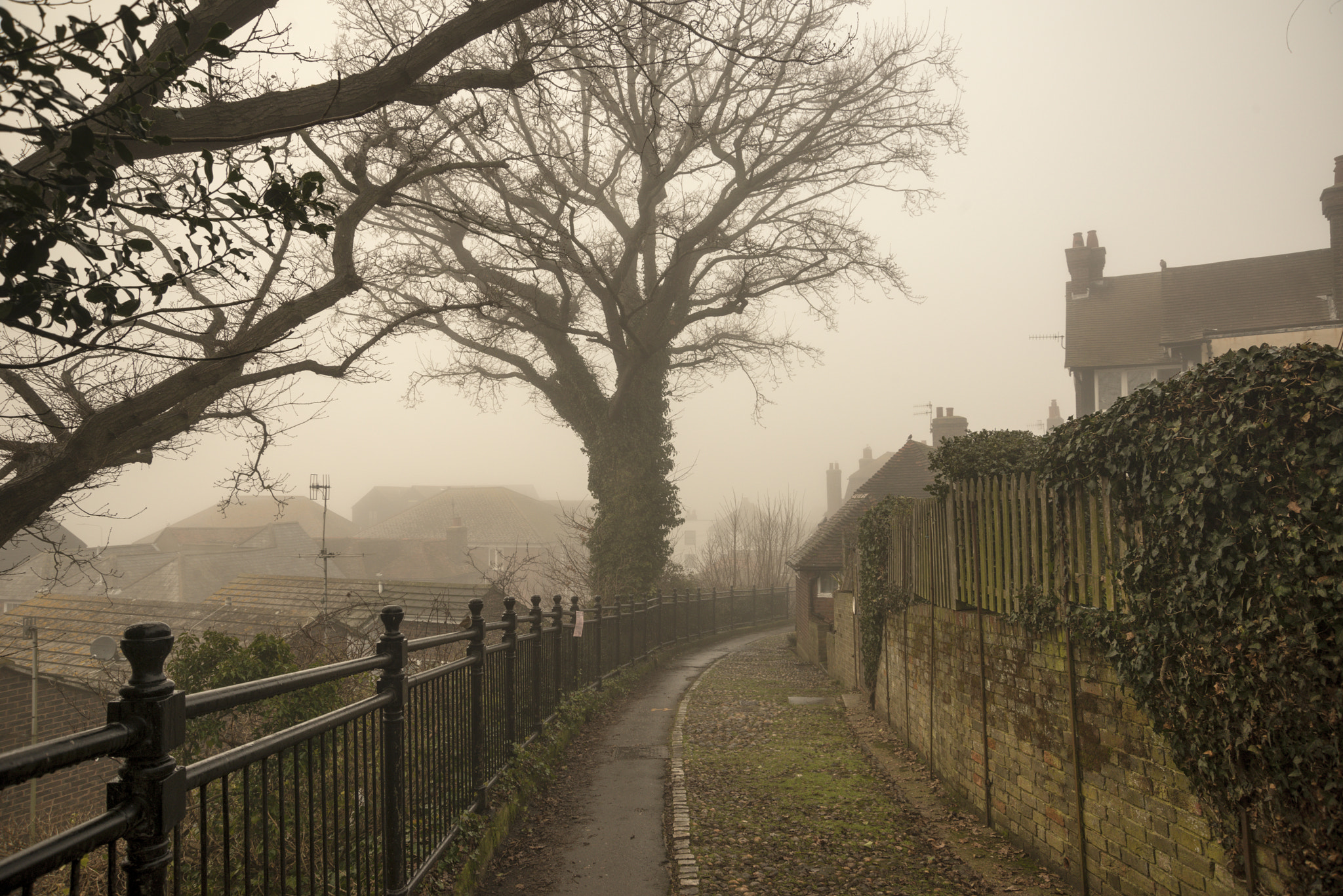 Nikon D800E sample photo. Traders passage photography
