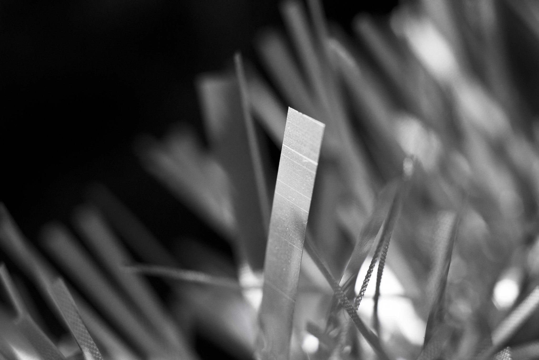 Nikon D810 + Nikon AF Nikkor 50mm F1.8D sample photo. 32523687142.jpg photography