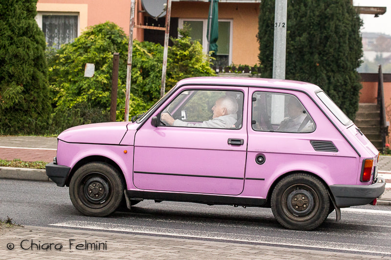 Canon EF 70-300mm F4-5.6L IS USM sample photo. Polonia photography