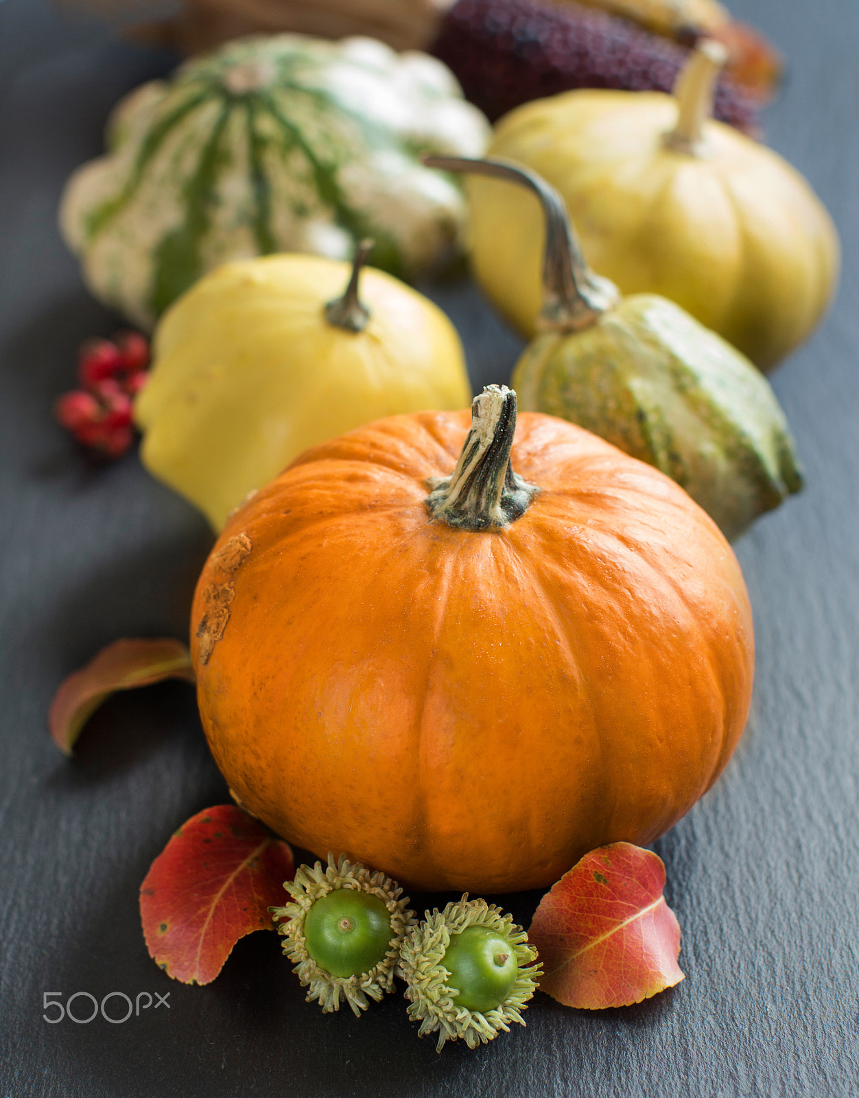 Canon EOS 650D (EOS Rebel T4i / EOS Kiss X6i) + Canon EF 50mm F1.2L USM sample photo. Autumn background with pumpkins photography