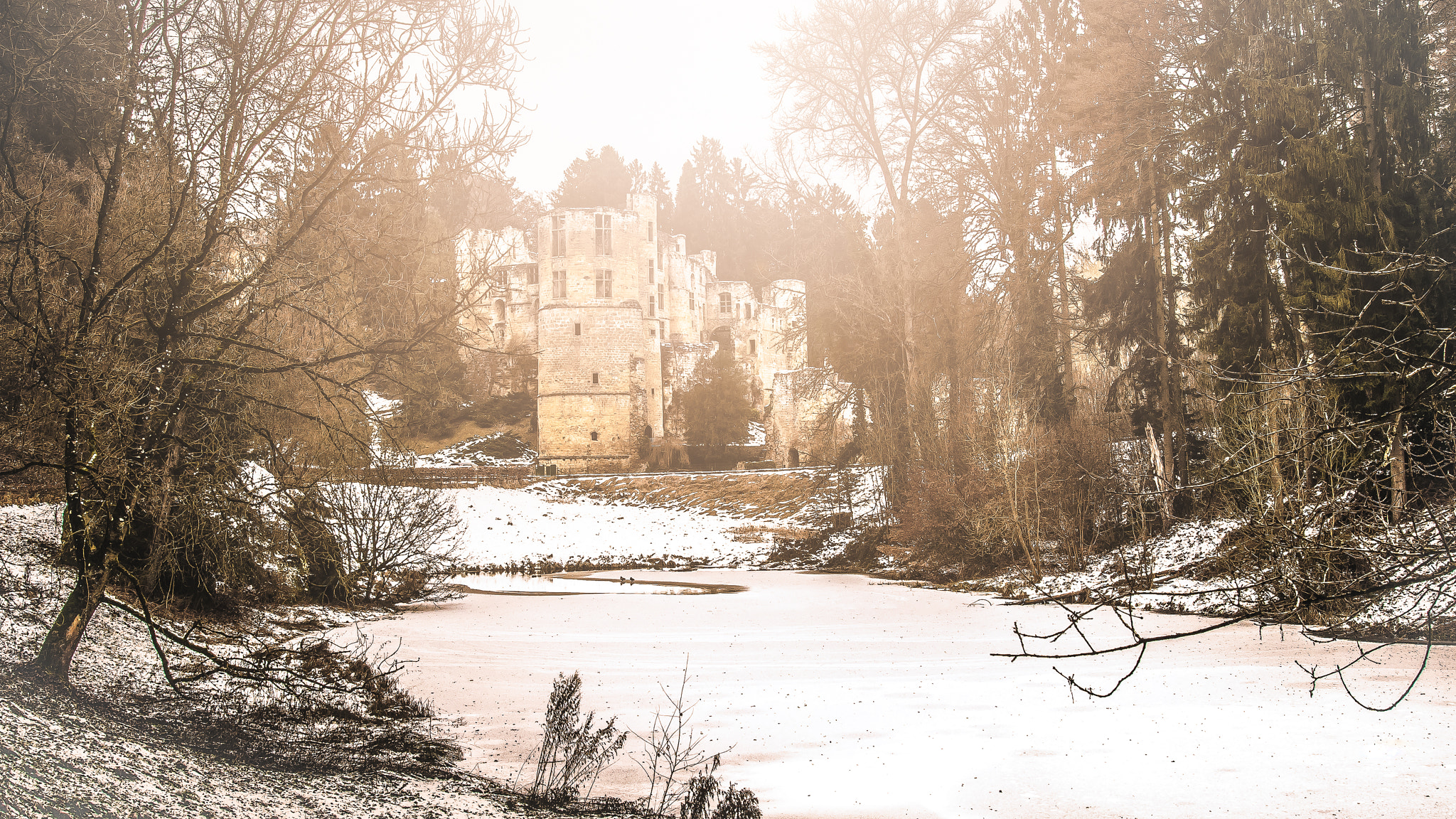 Nikon D500 sample photo. Chateau de beaufort... photography