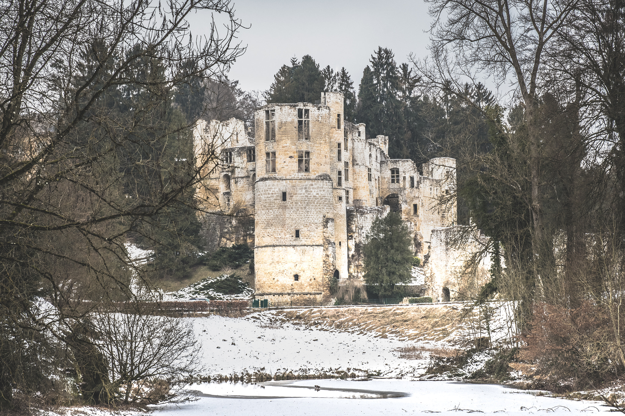 Nikon D500 sample photo. Chateau de beaufort... photography