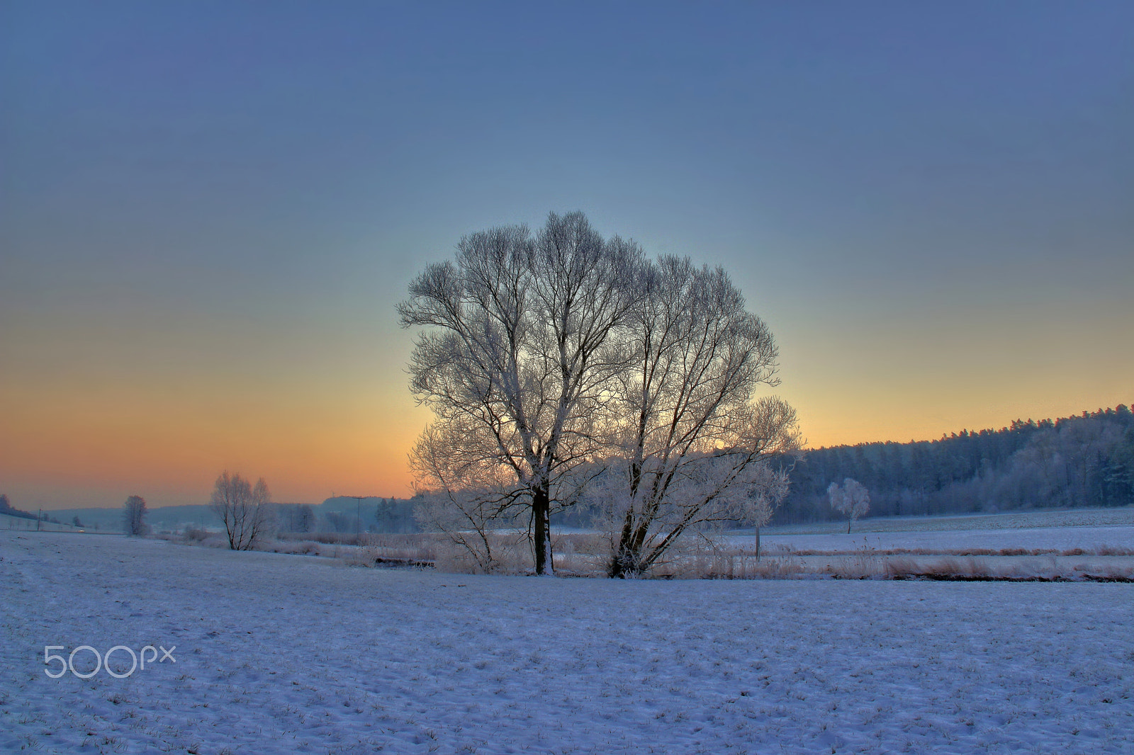 Canon EF-S 18-200mm F3.5-5.6 IS sample photo. Cold sunrise photography