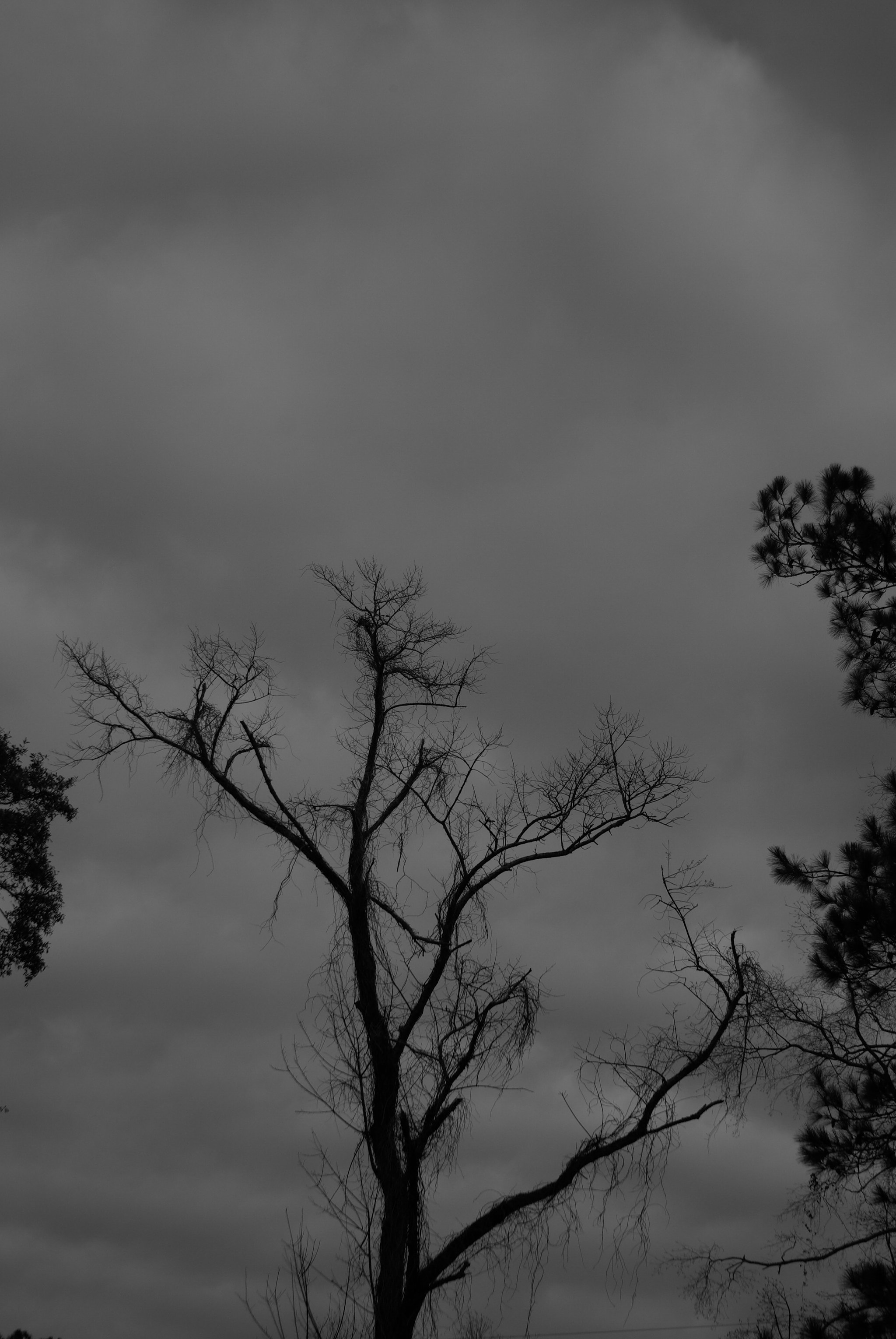 Pentax K10D sample photo. Sky black and white photography