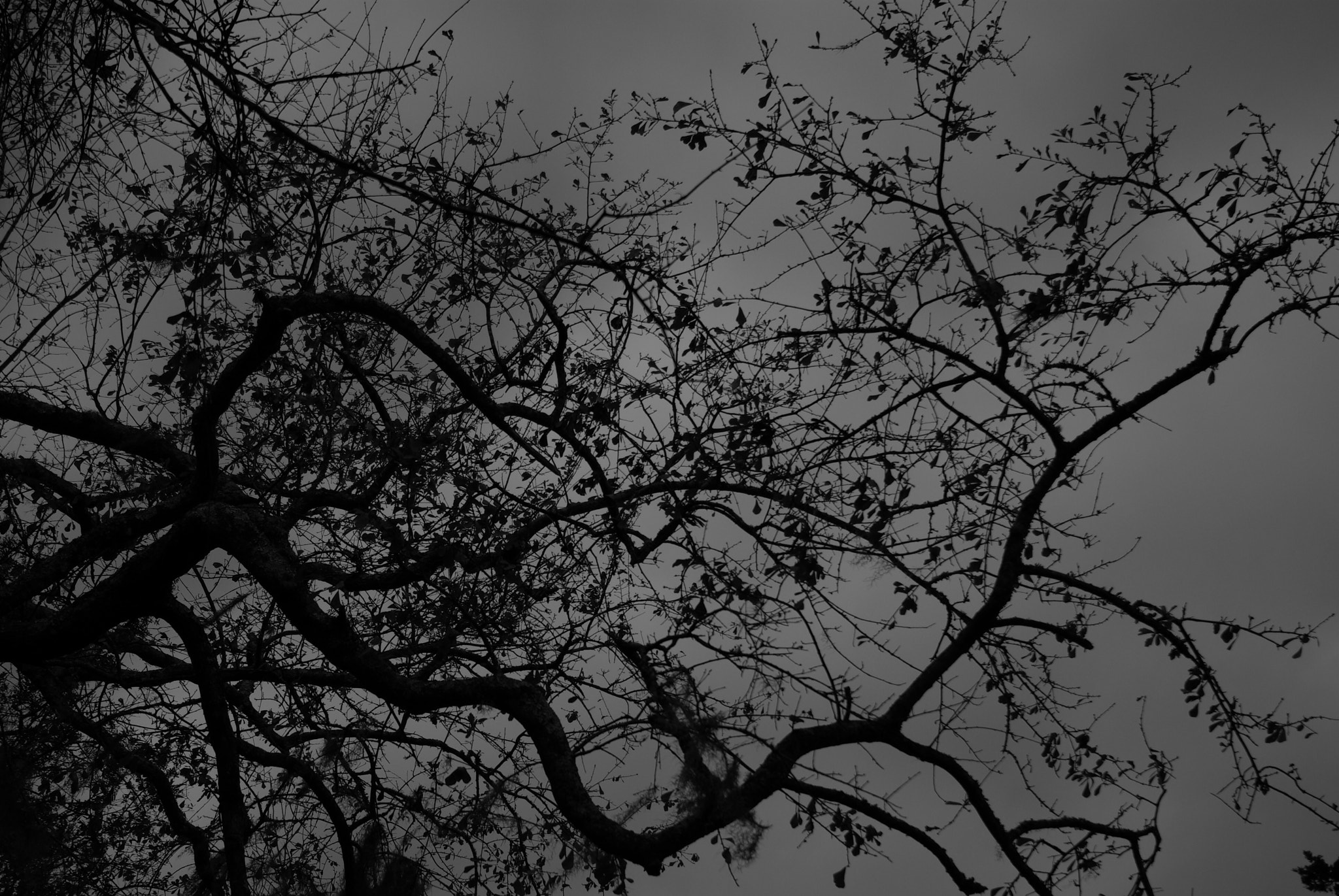 Pentax K10D sample photo. Sky black and white photography