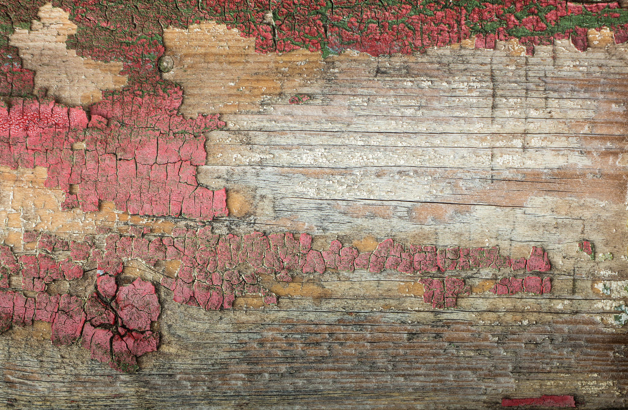 Canon EF 35-80mm f/4-5.6 sample photo. Wood texture photography