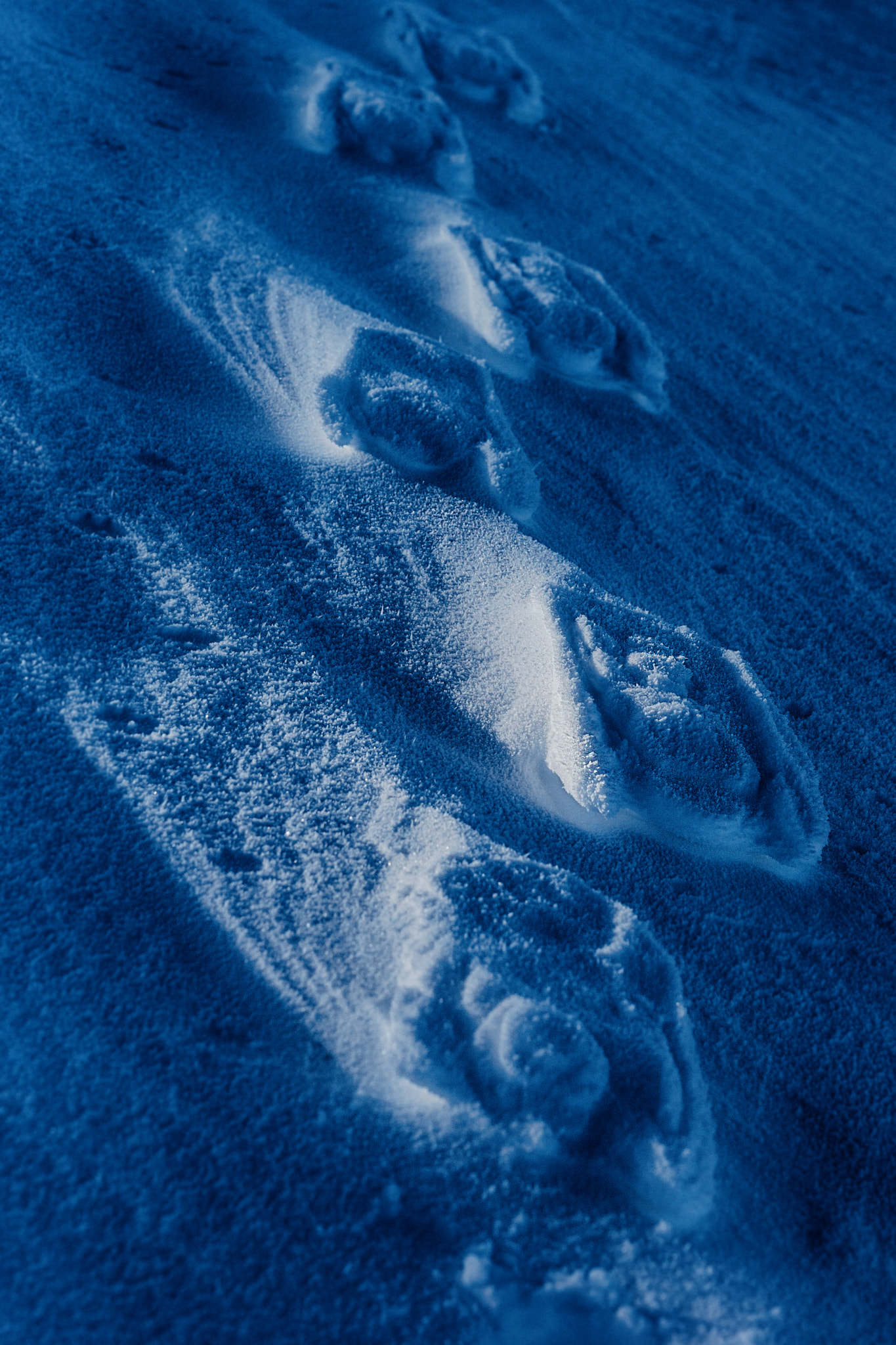 Sony 70-400mm F4-5.6 G SSM II sample photo. Tracks in the snow ii photography