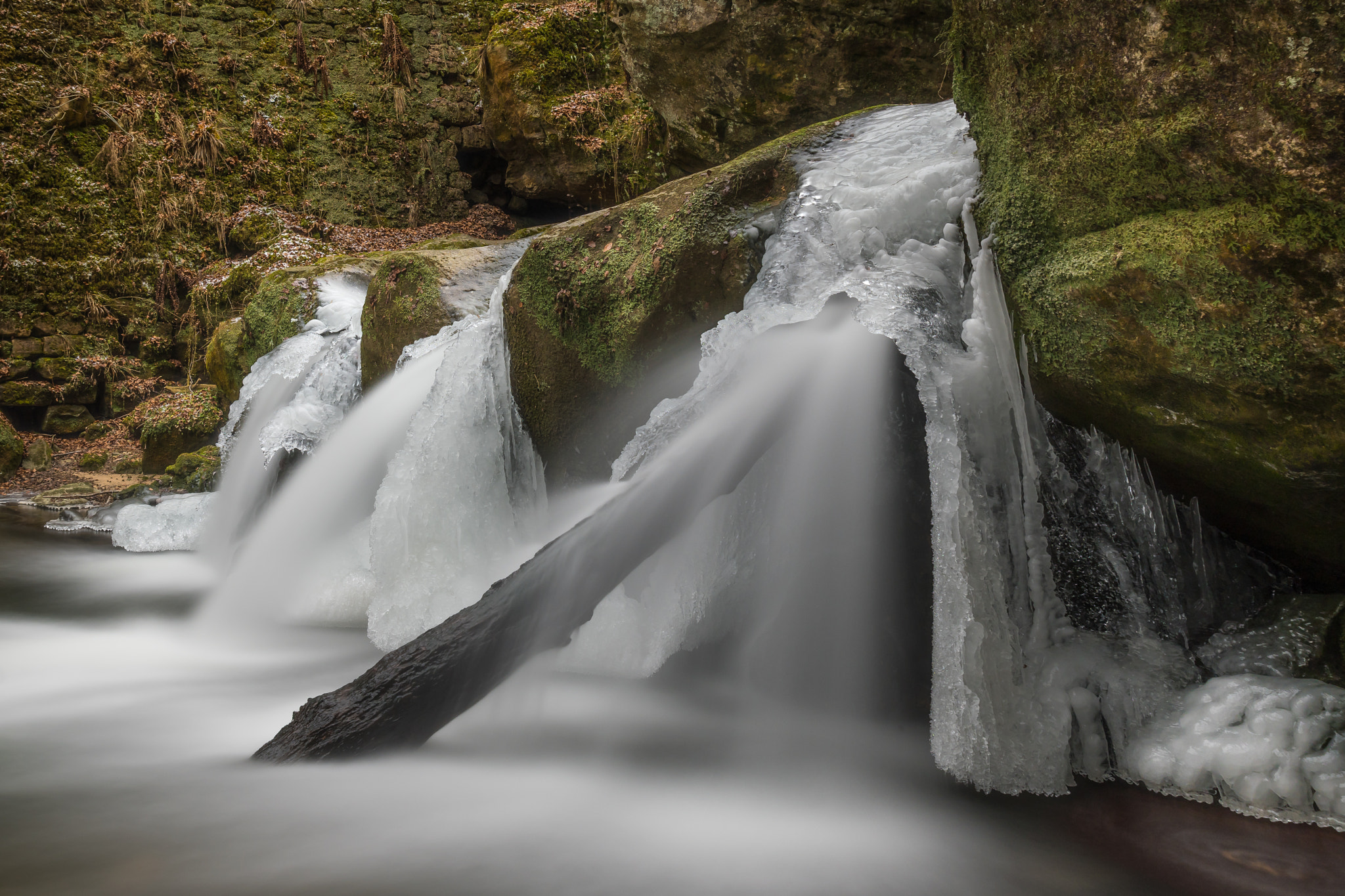 Nikon D500 sample photo. Mullerthal photography