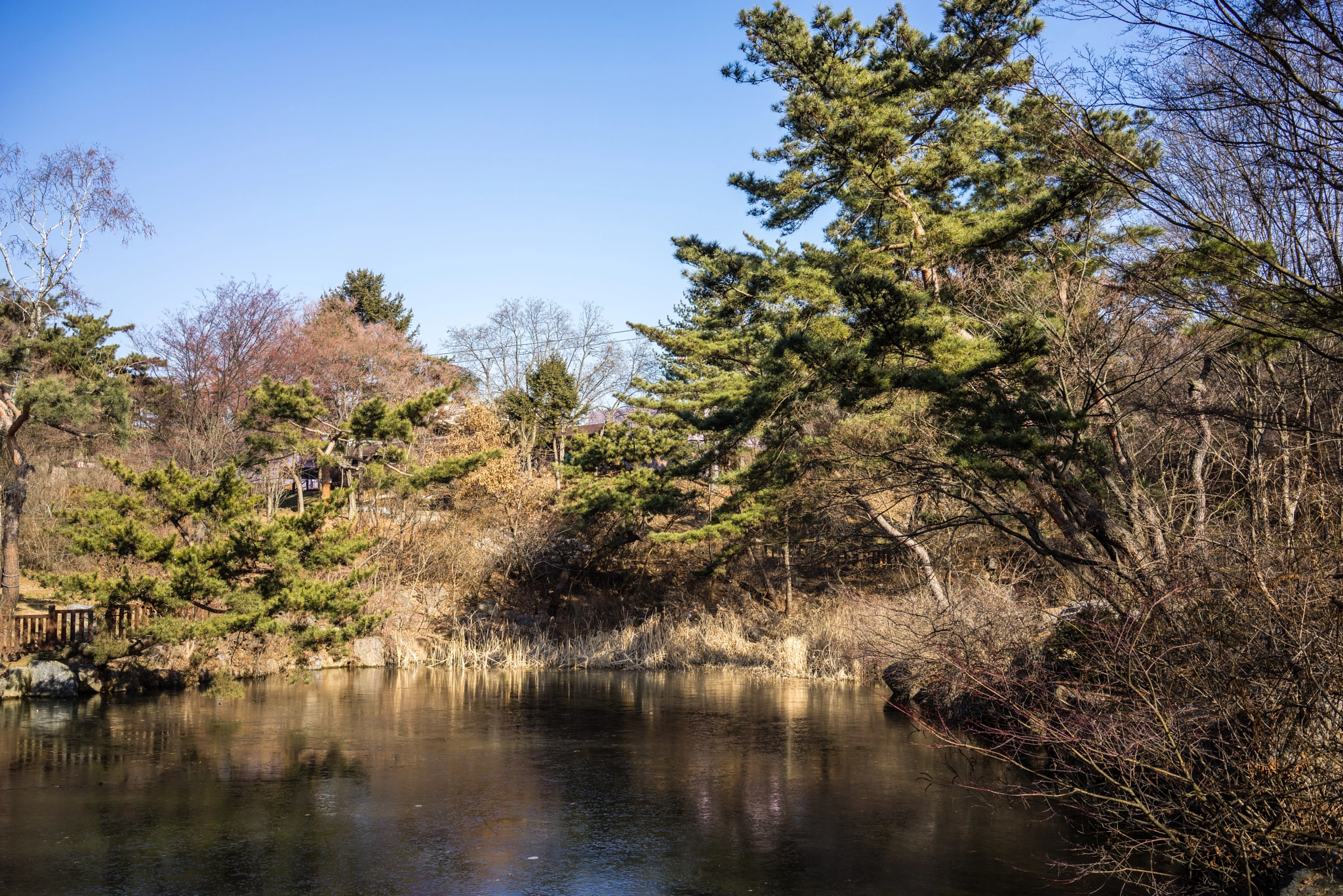 Sony a7R + Sony Sonnar T* FE 35mm F2.8 ZA sample photo. Seoul park 1 photography