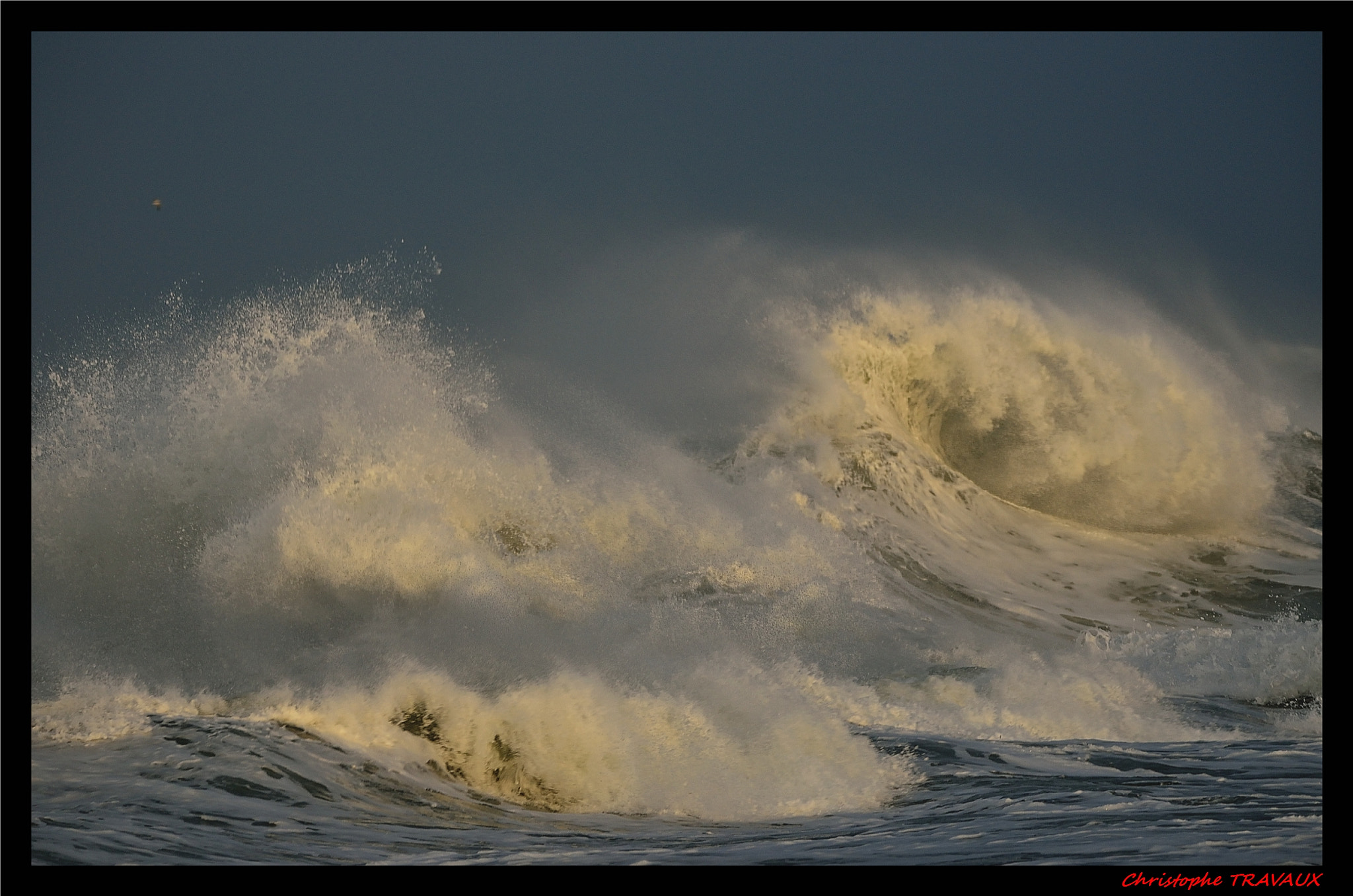 Sigma 150-600mm F5-6.3 DG OS HSM | C sample photo. Gf photography