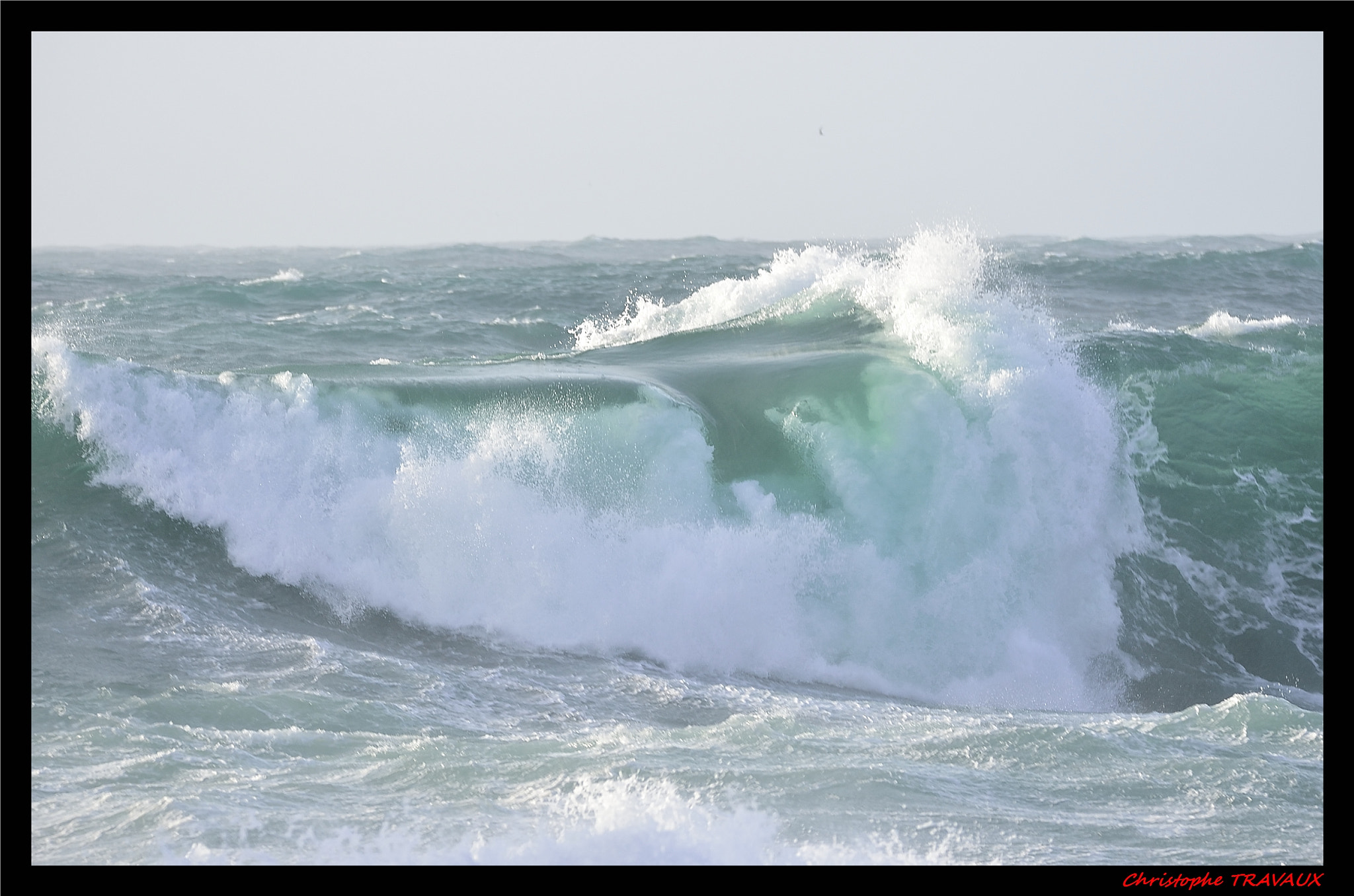Sigma 150-600mm F5-6.3 DG OS HSM | C sample photo. Gf photography