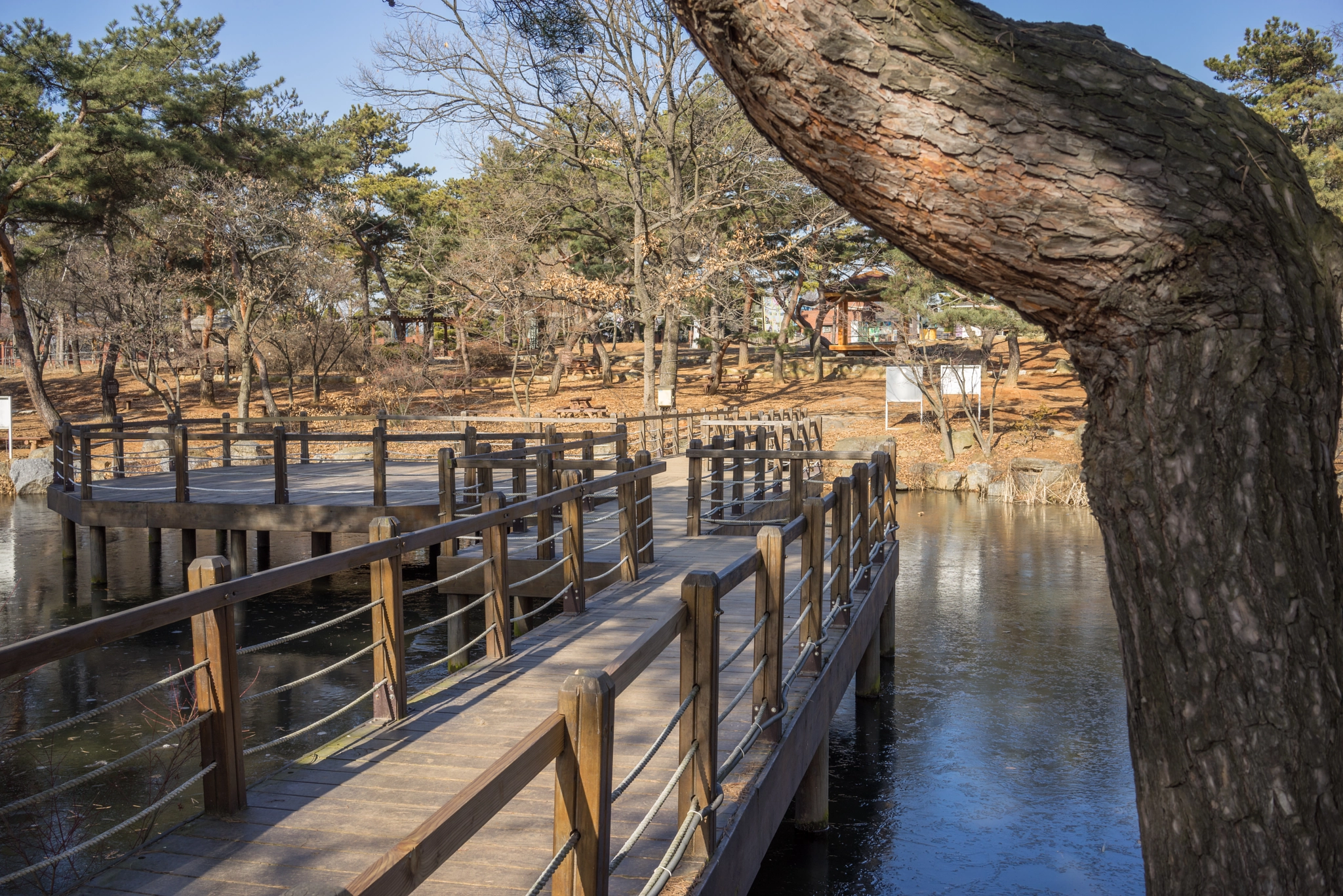 Sony a7R + Sony Sonnar T* FE 35mm F2.8 ZA sample photo. Seoul park 2 photography