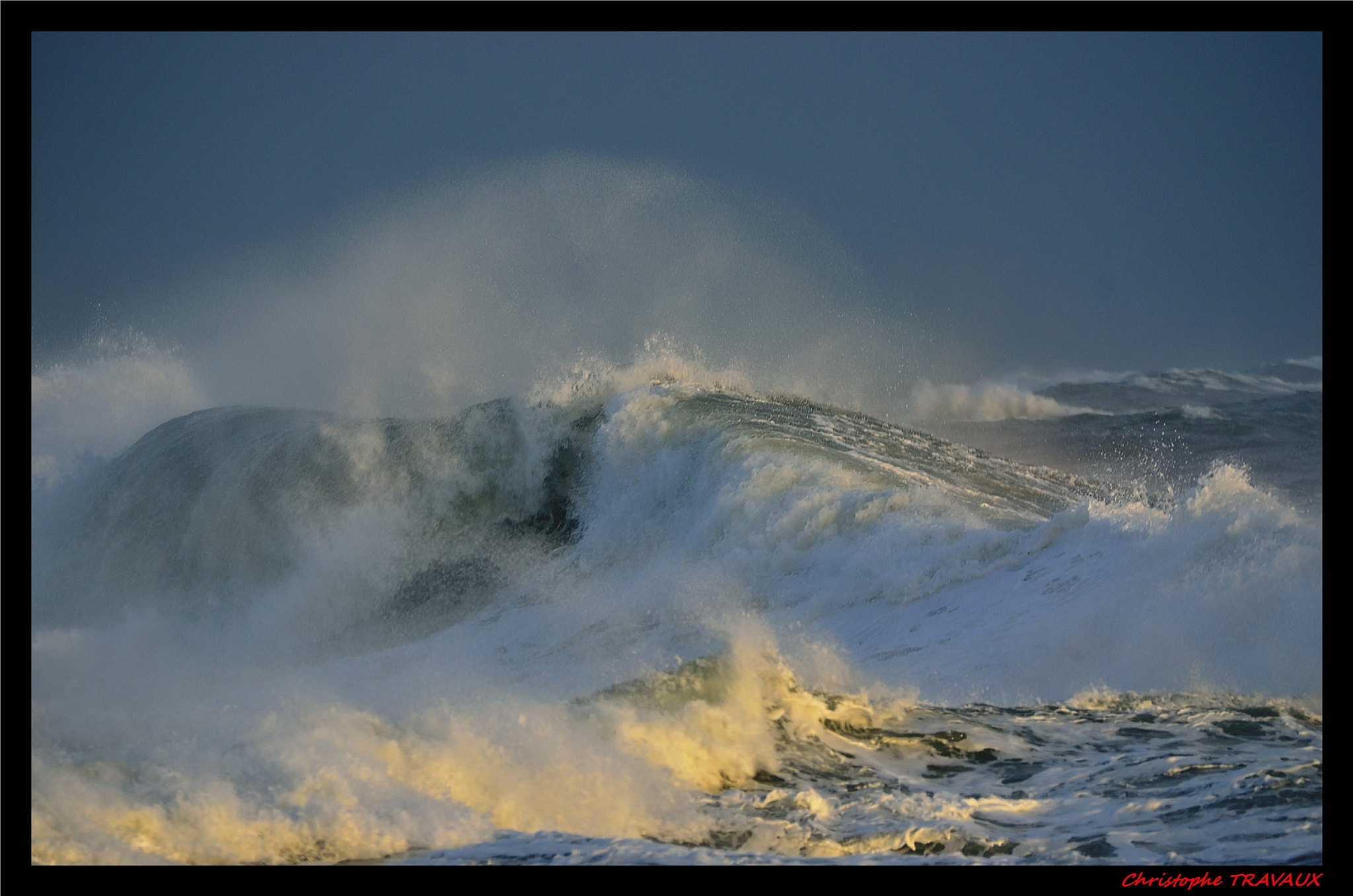 Sigma 150-600mm F5-6.3 DG OS HSM | C sample photo. Gf photography