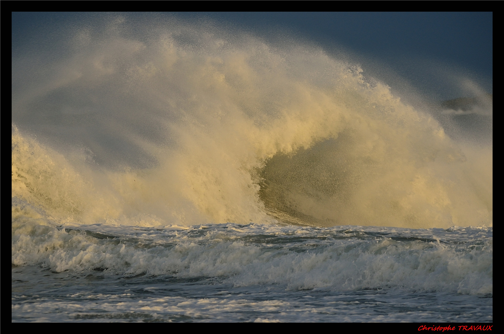 Sigma 150-600mm F5-6.3 DG OS HSM | C sample photo. Gf photography