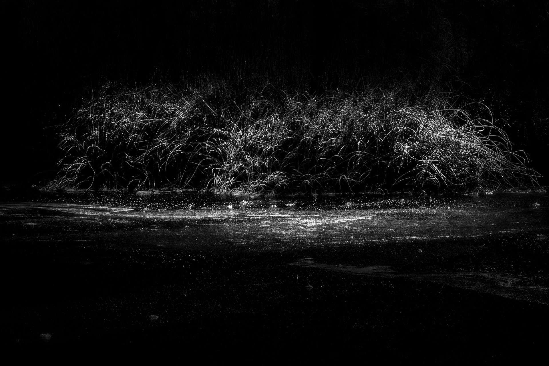 Olympus OM-D E-M5 sample photo. Winter 7 - darkness photography