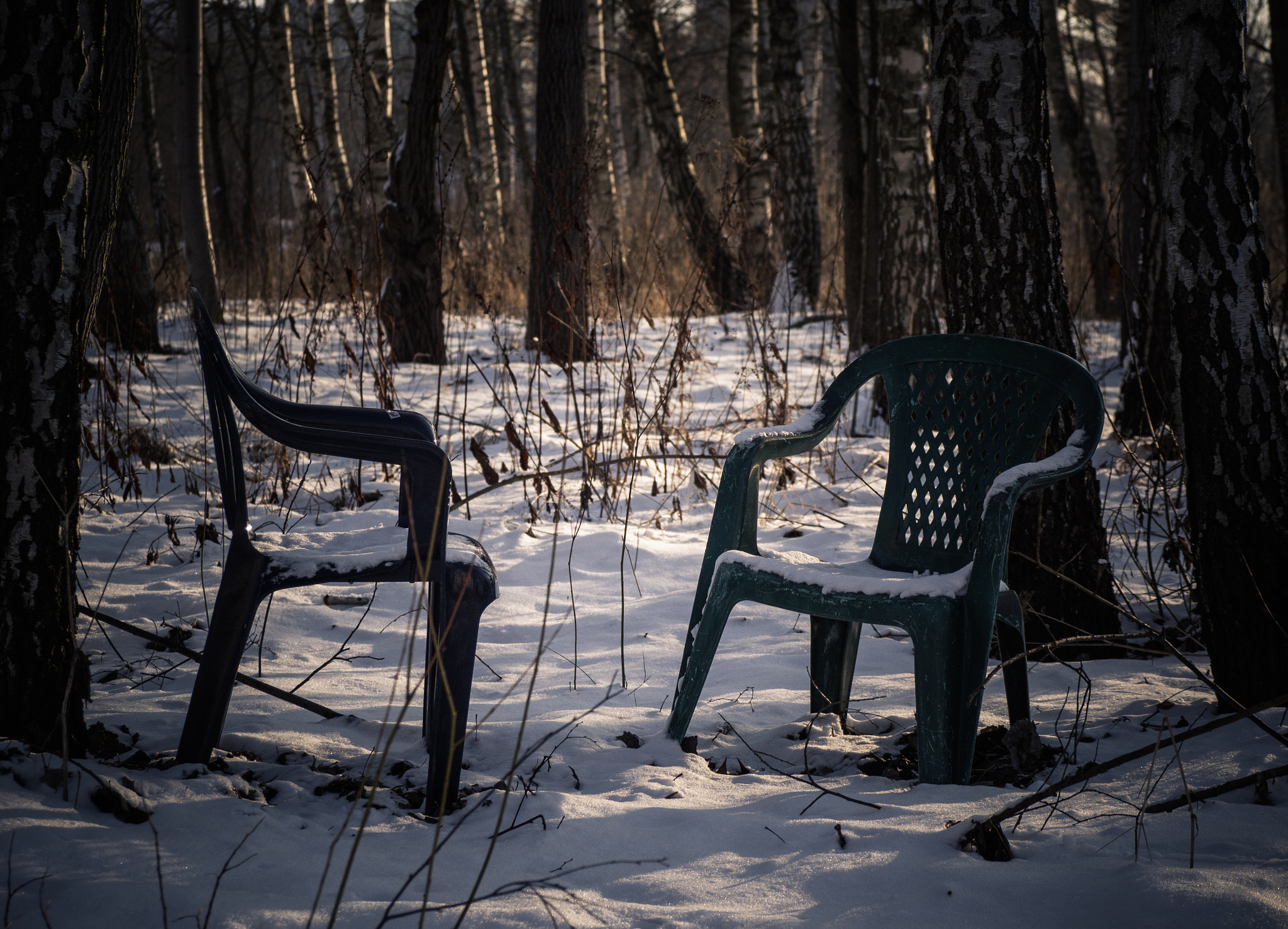 Olympus OM-D E-M10 sample photo. Winter chair :) photography
