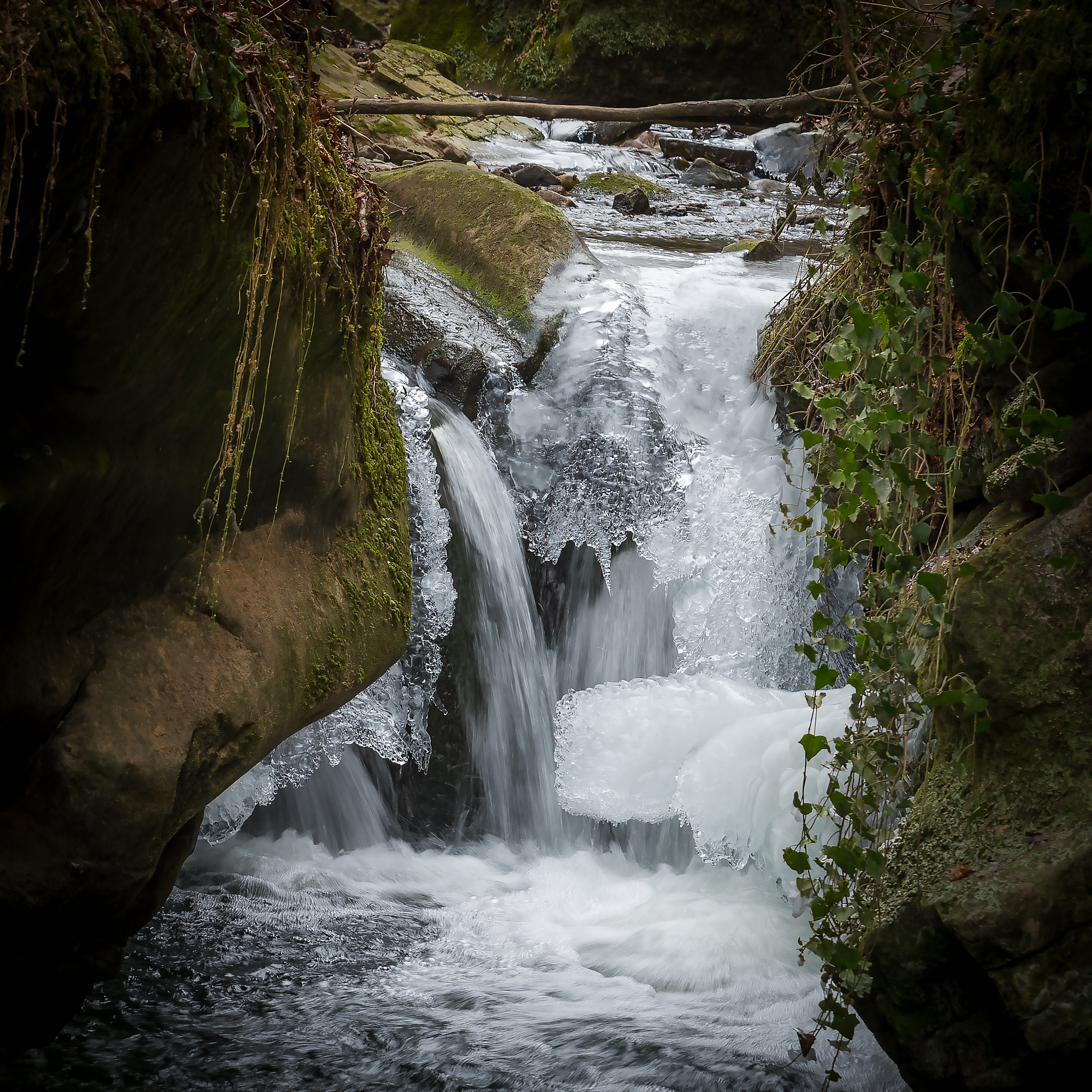 Nikon D500 sample photo. Mullerthal photography