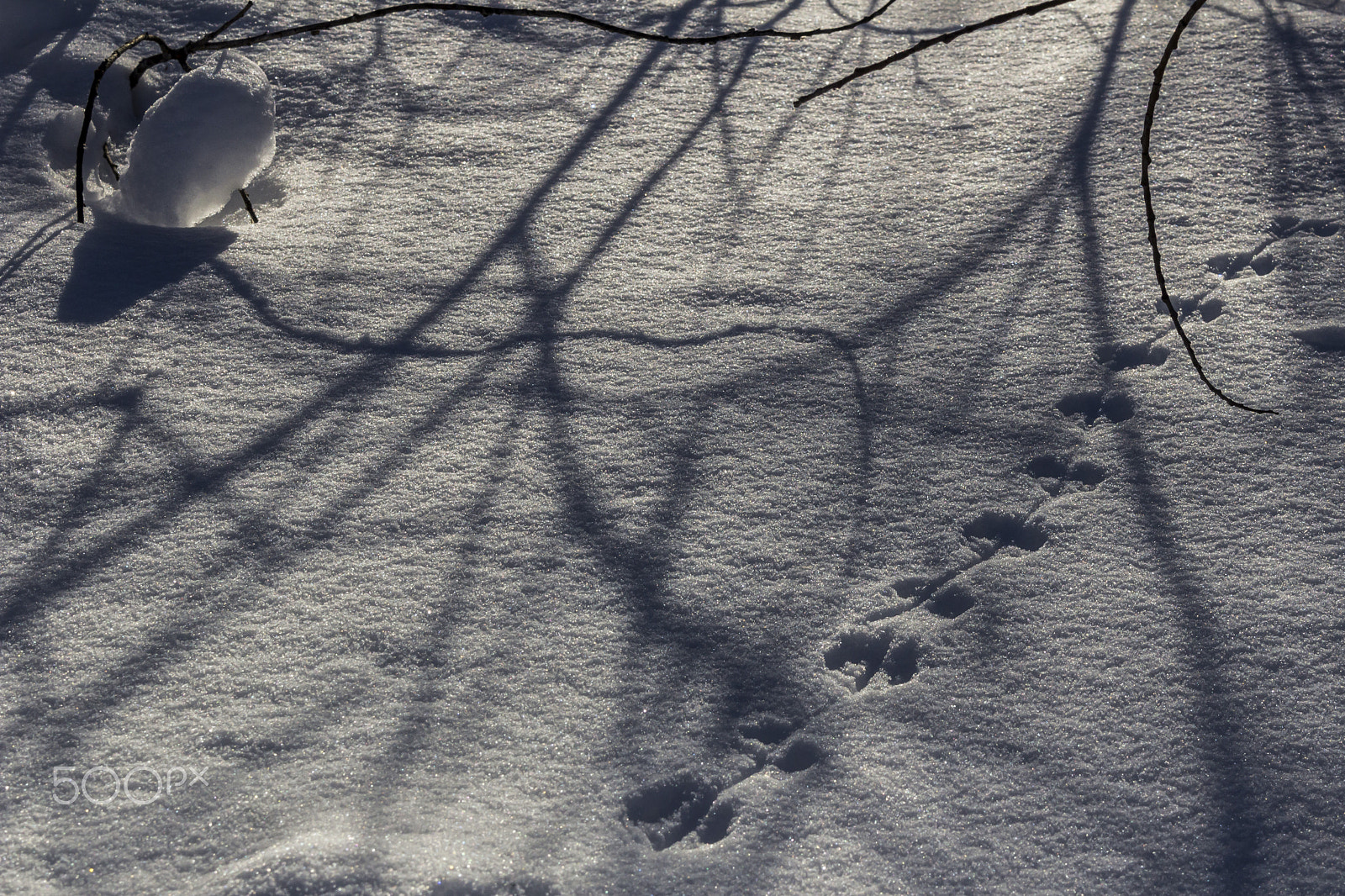 Canon EOS 600D (Rebel EOS T3i / EOS Kiss X5) sample photo. Tracks photography