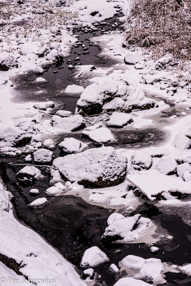 Canon EOS 40D sample photo. Winter creek photography